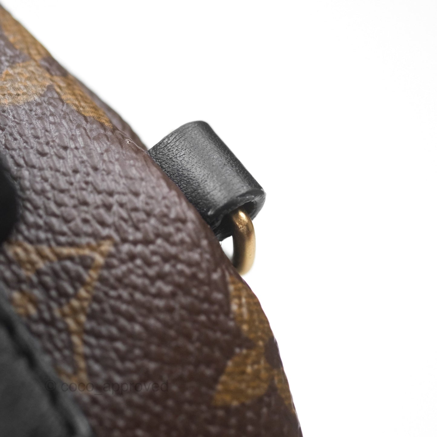Louis Vuitton Monogram Mini Palm Springs Backpack⁣