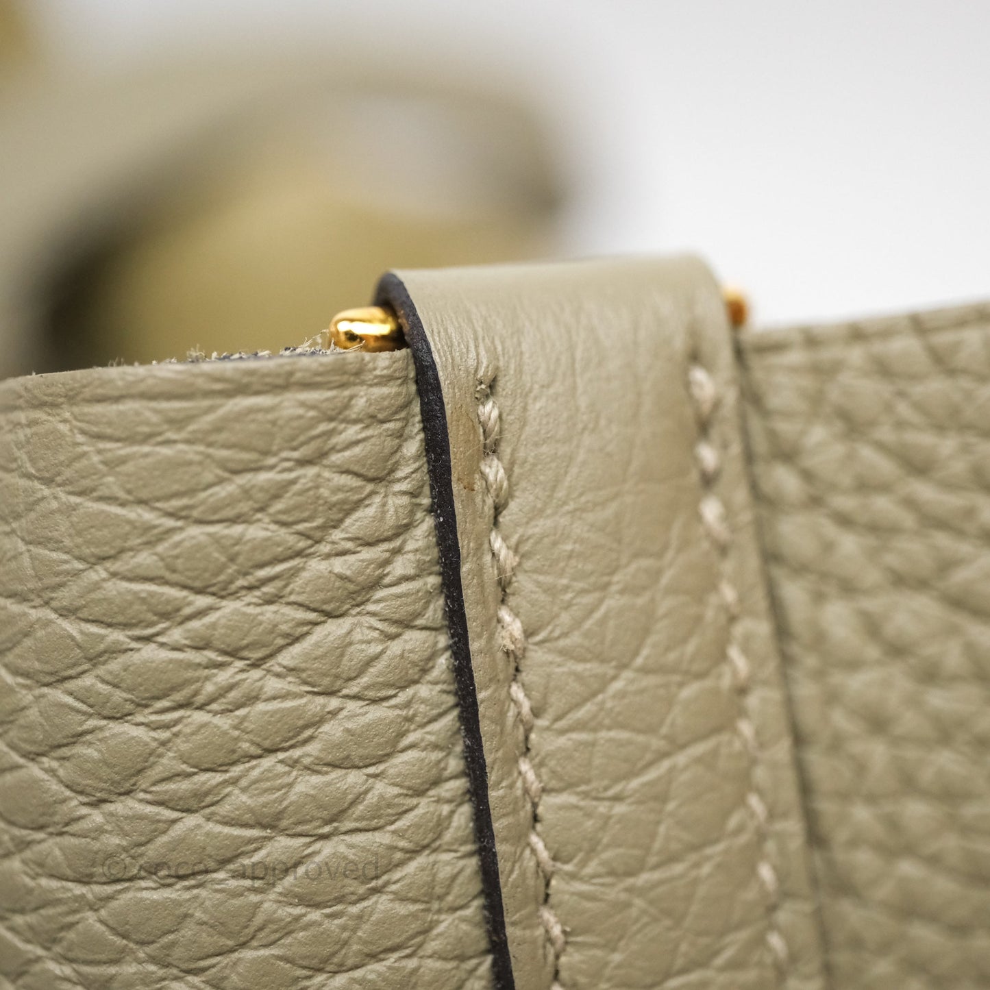 Hermès Picotin 22 Lock Sauge Gold Hardware