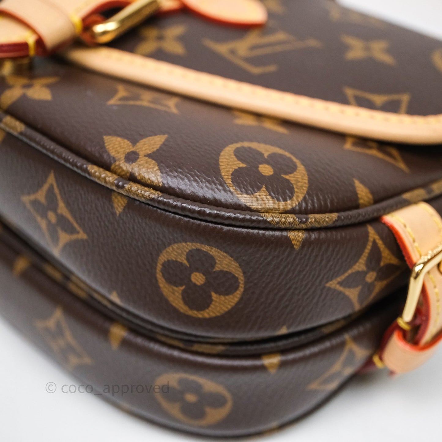 Louis Vuitton Saumur BB Monogram Bag Gold Hardware
