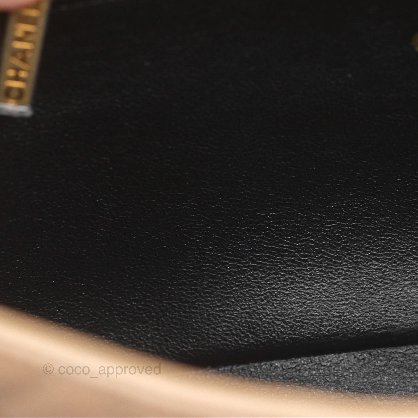 Chanel Quilted Medium CC Filigree Flap Beige Black Caviar