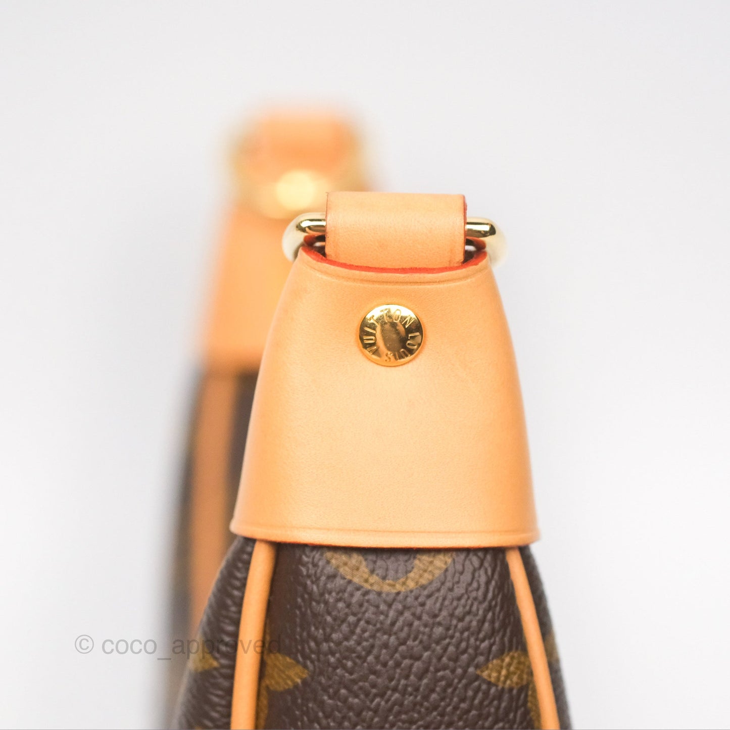 Louis Vuitton Loop Monogram Canvas