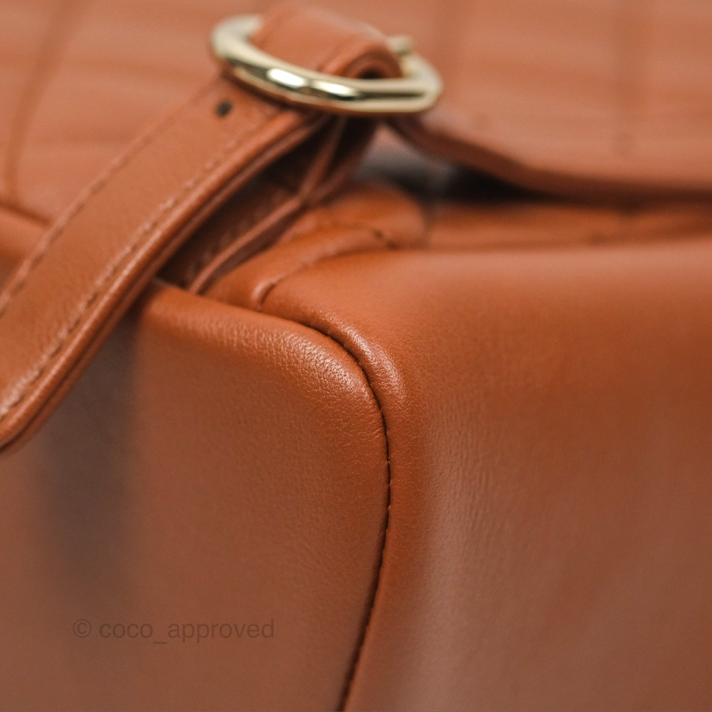 Chanel Medium Duma Backpack Tan Brown Calfskin Gold Hardware