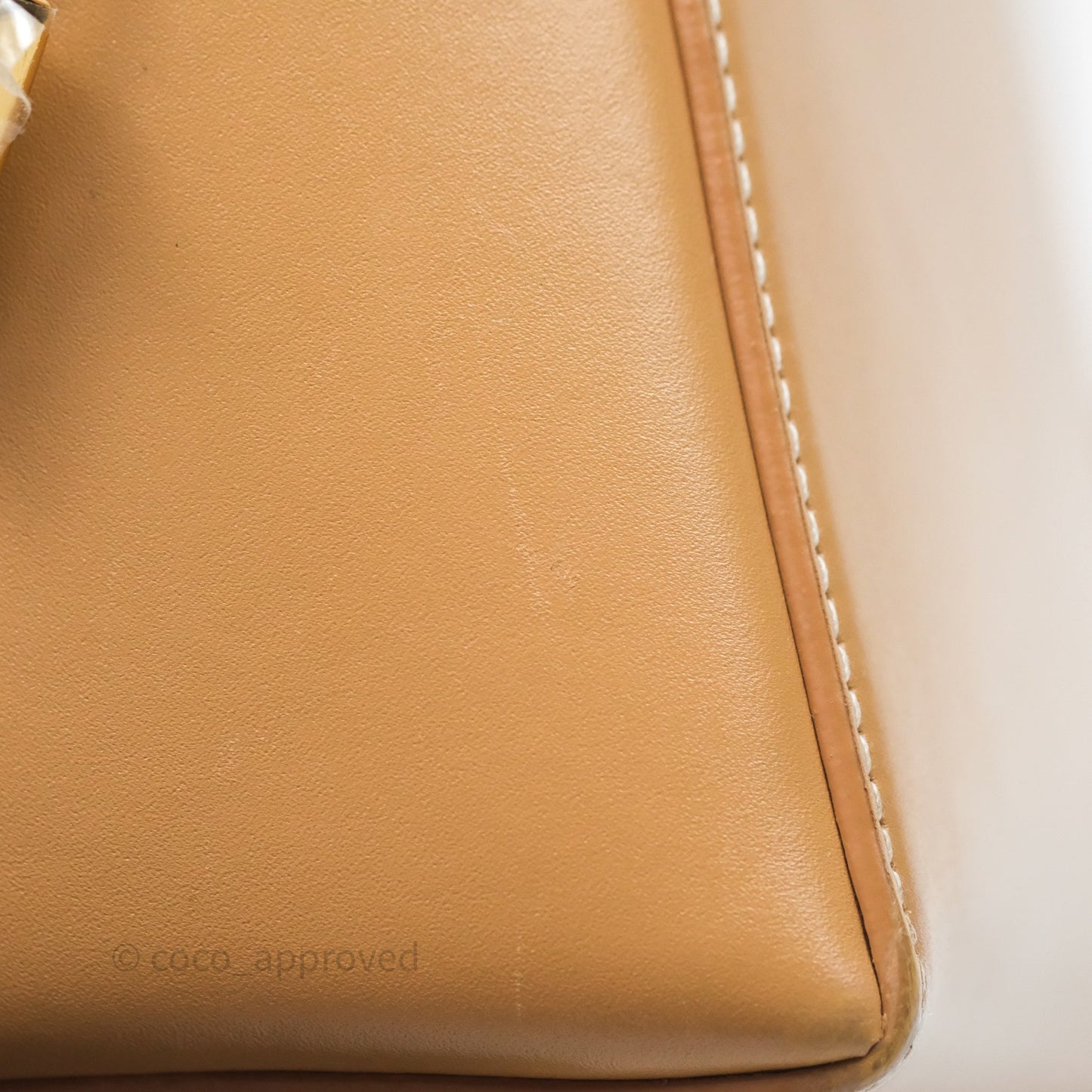 Loro Piana Extra Bag L27 Light Bamboo Calfskin Gold Hardware