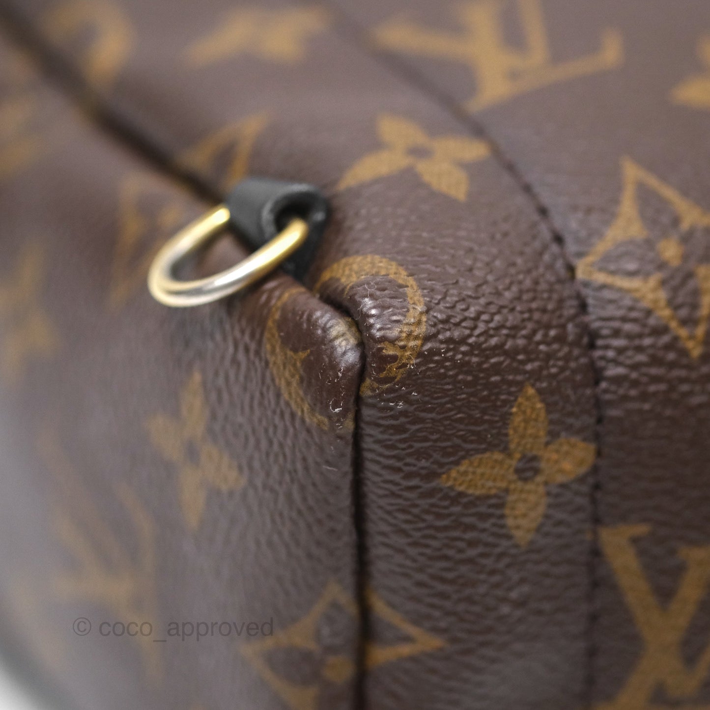 Louis Vuitton Monogram Mini Palm Springs Backpack⁣