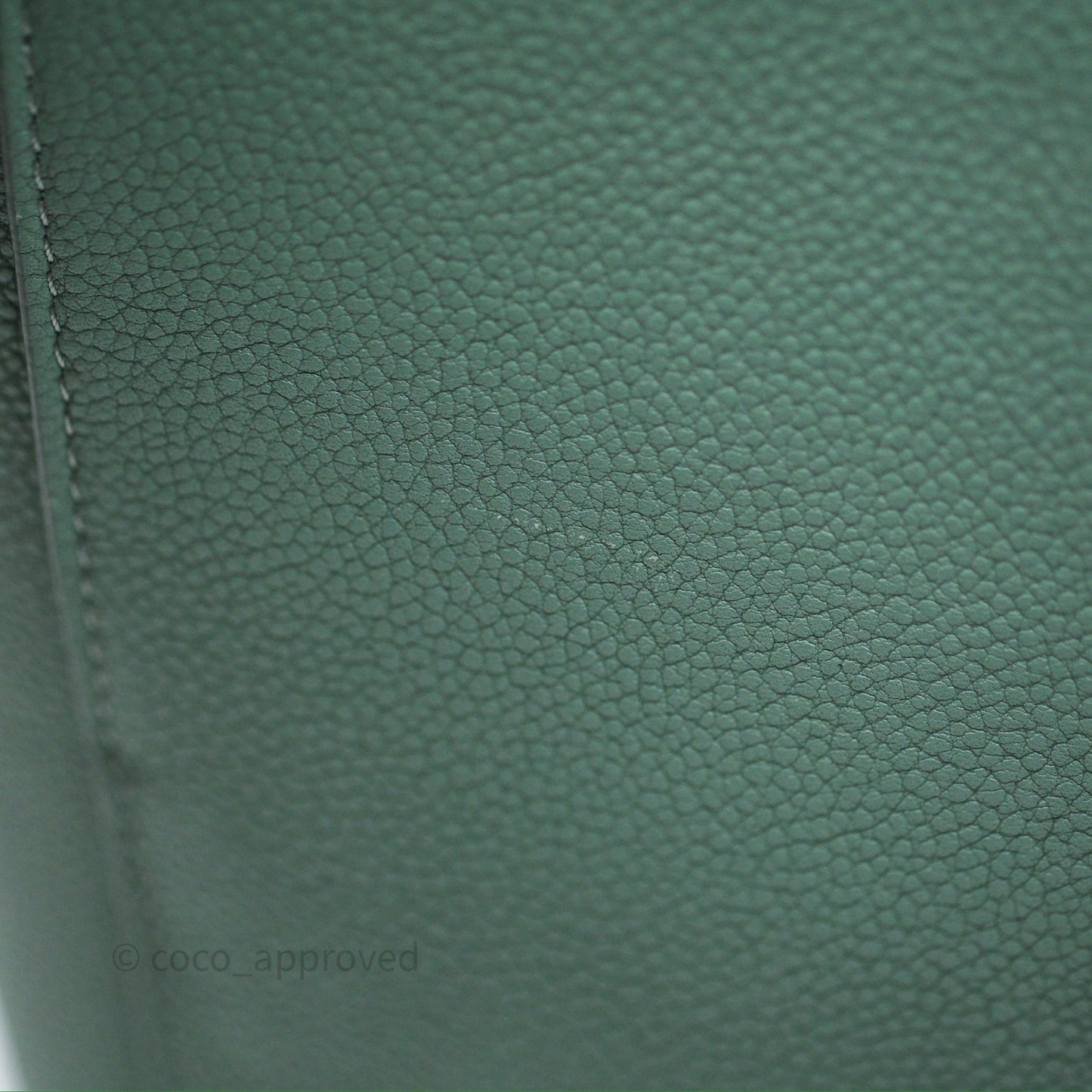 Celine Small Sangle Bucket Bag Light Green Celadon Grained Calfskin Silver Hardware