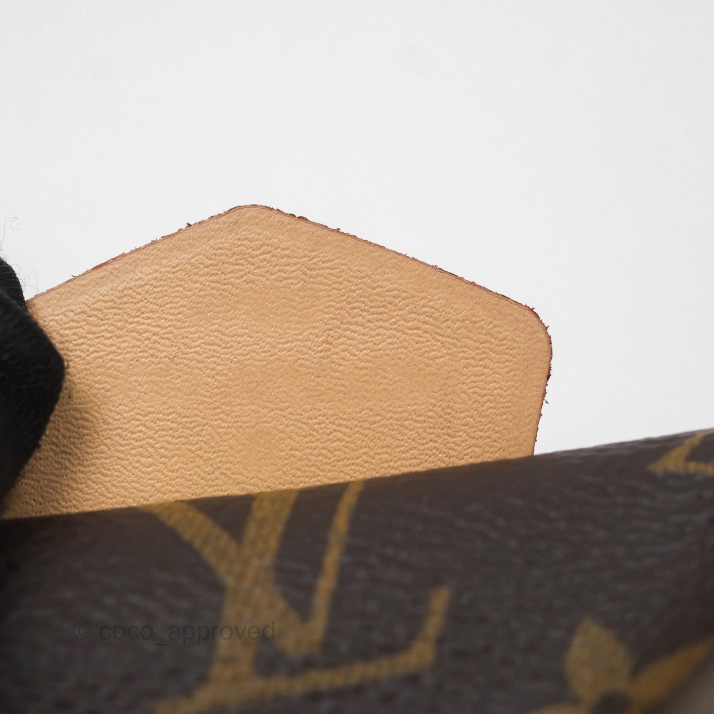 Louis Vuitton Bum Bag Monogram Canvas