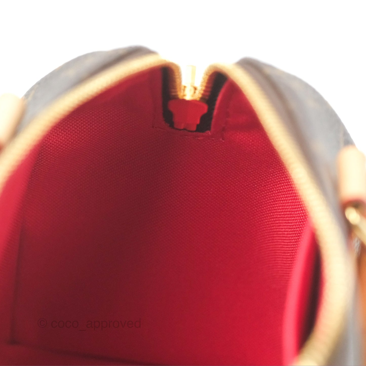 Louis Vuitton Speedy Bandoulière 20 Monogram