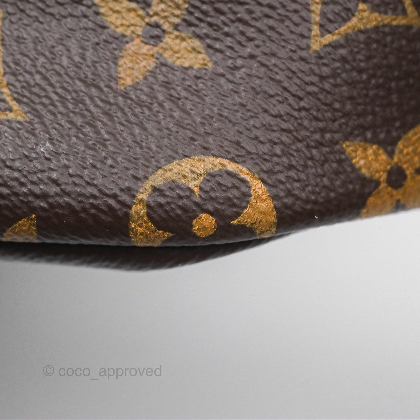Louis Vuitton Bum Bag Monogram Canvas