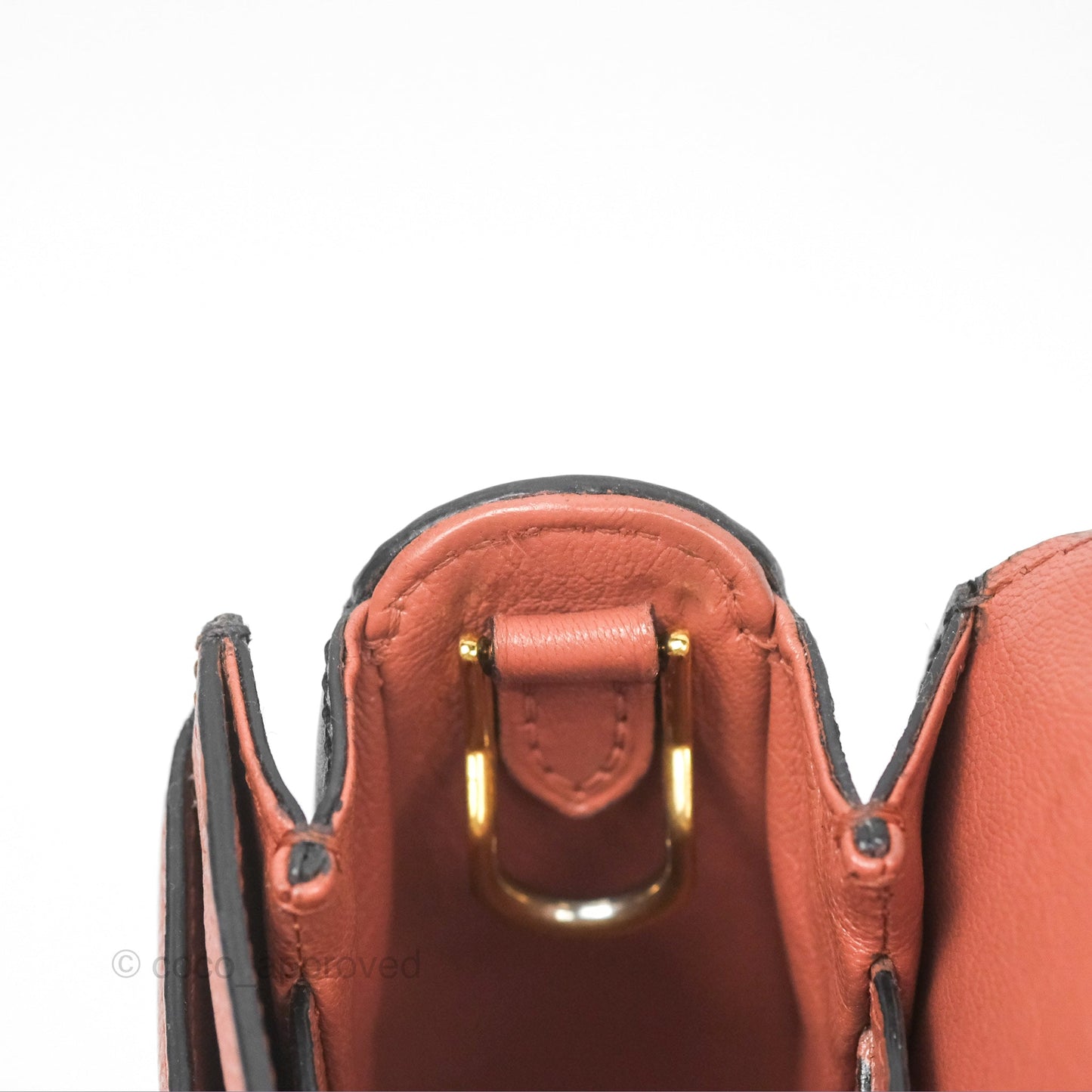 Louis Vuitton Vivienne Bag Brick Red Black
