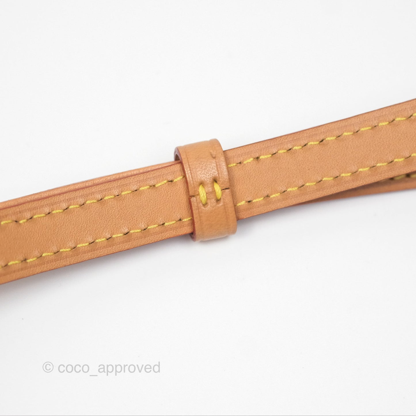 Louis Vuitton Nano Noe Monogram Canvas