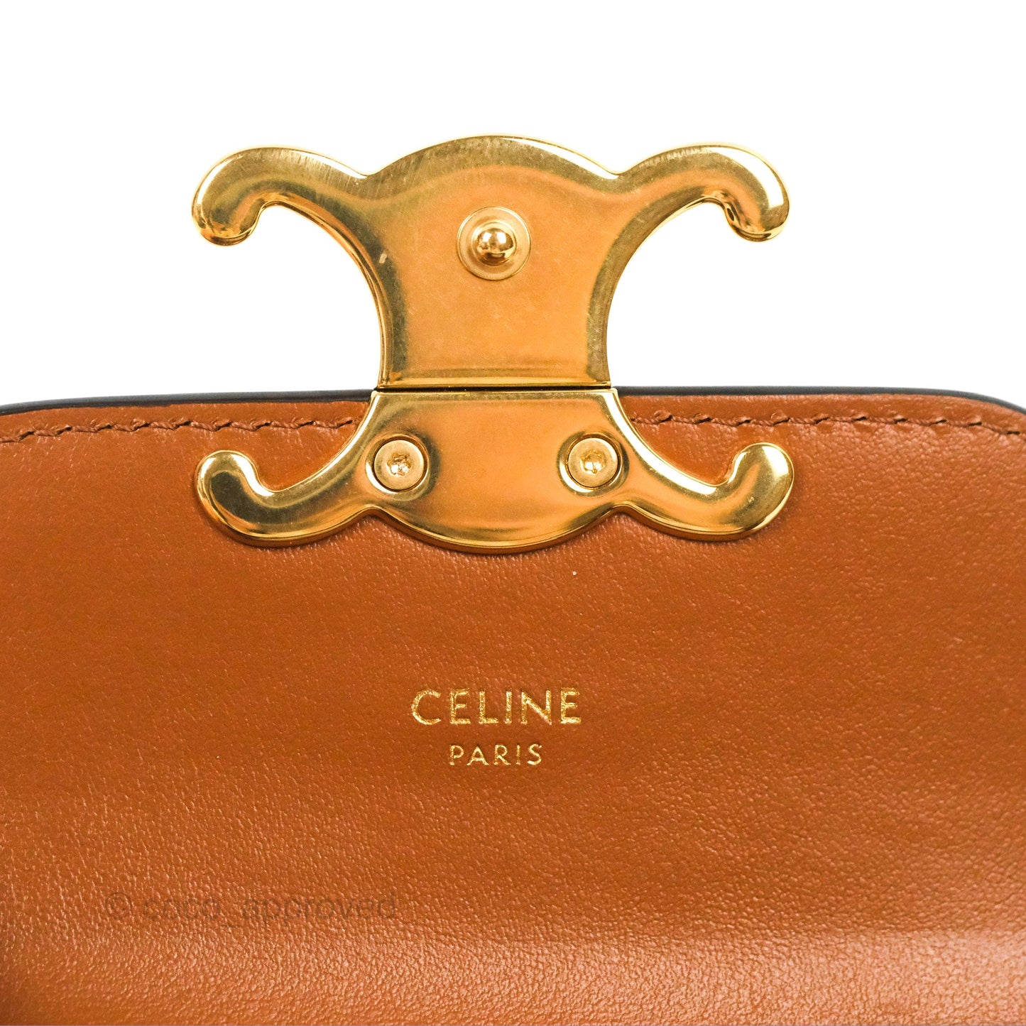 Celine Tan Canvas Calfskin Mini Triomphe