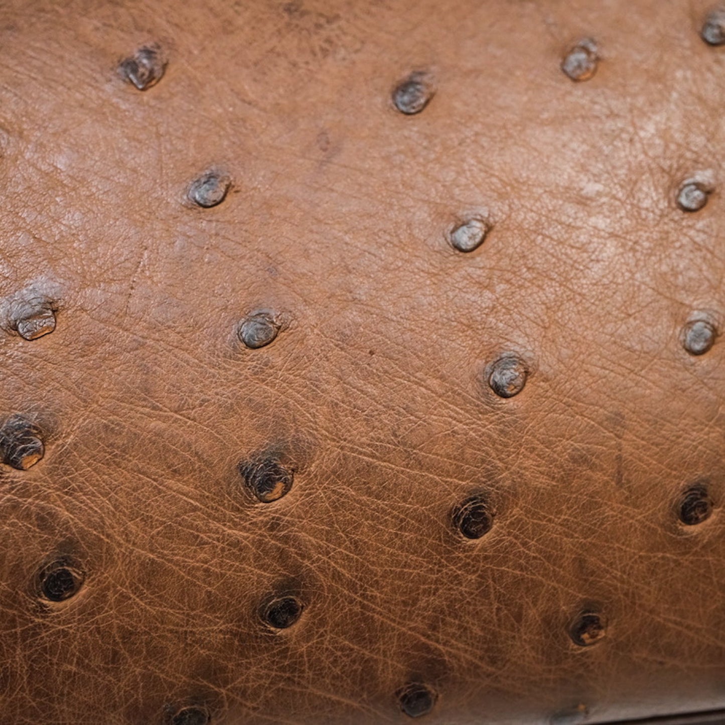 Hermès Kelly 28 Chocolate Ostrish Sellier Gold Hardware