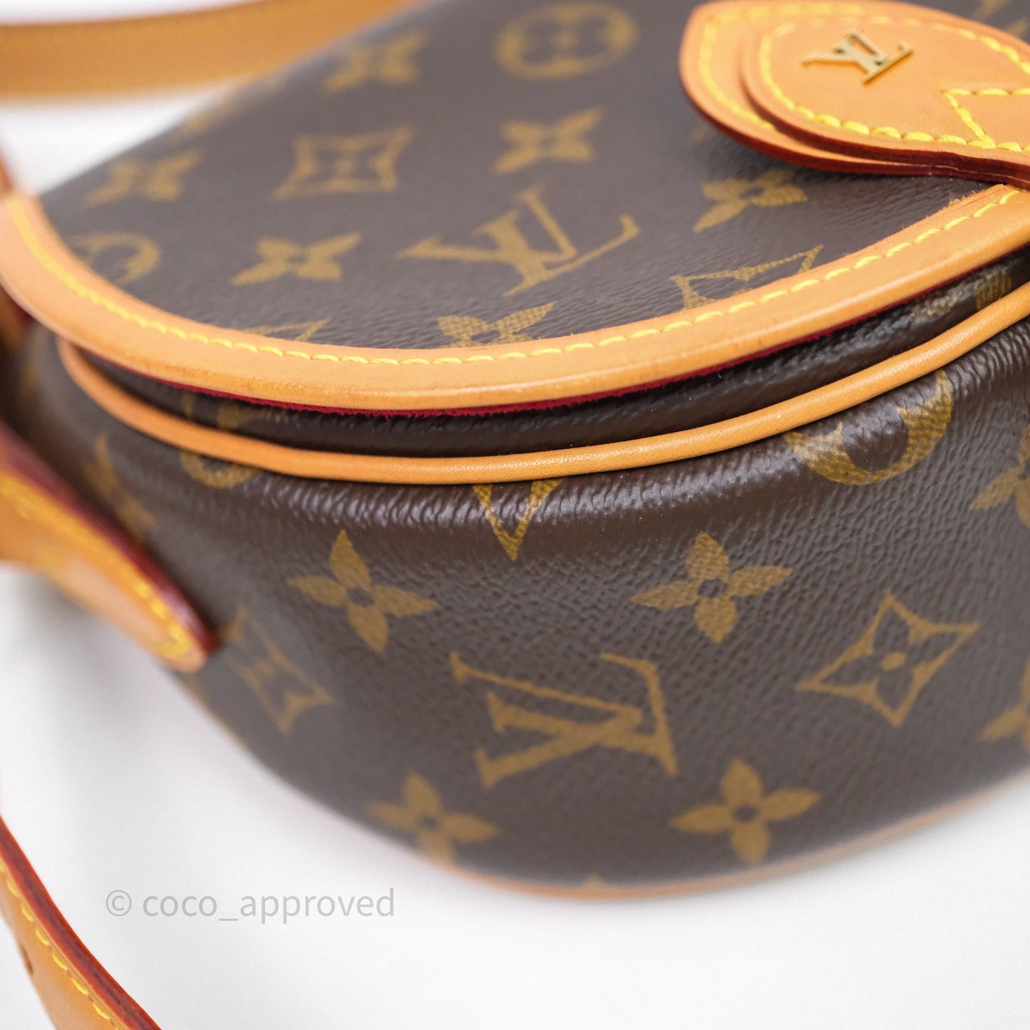 Louis Vuitton Tambourin Monogram Canvas Bag