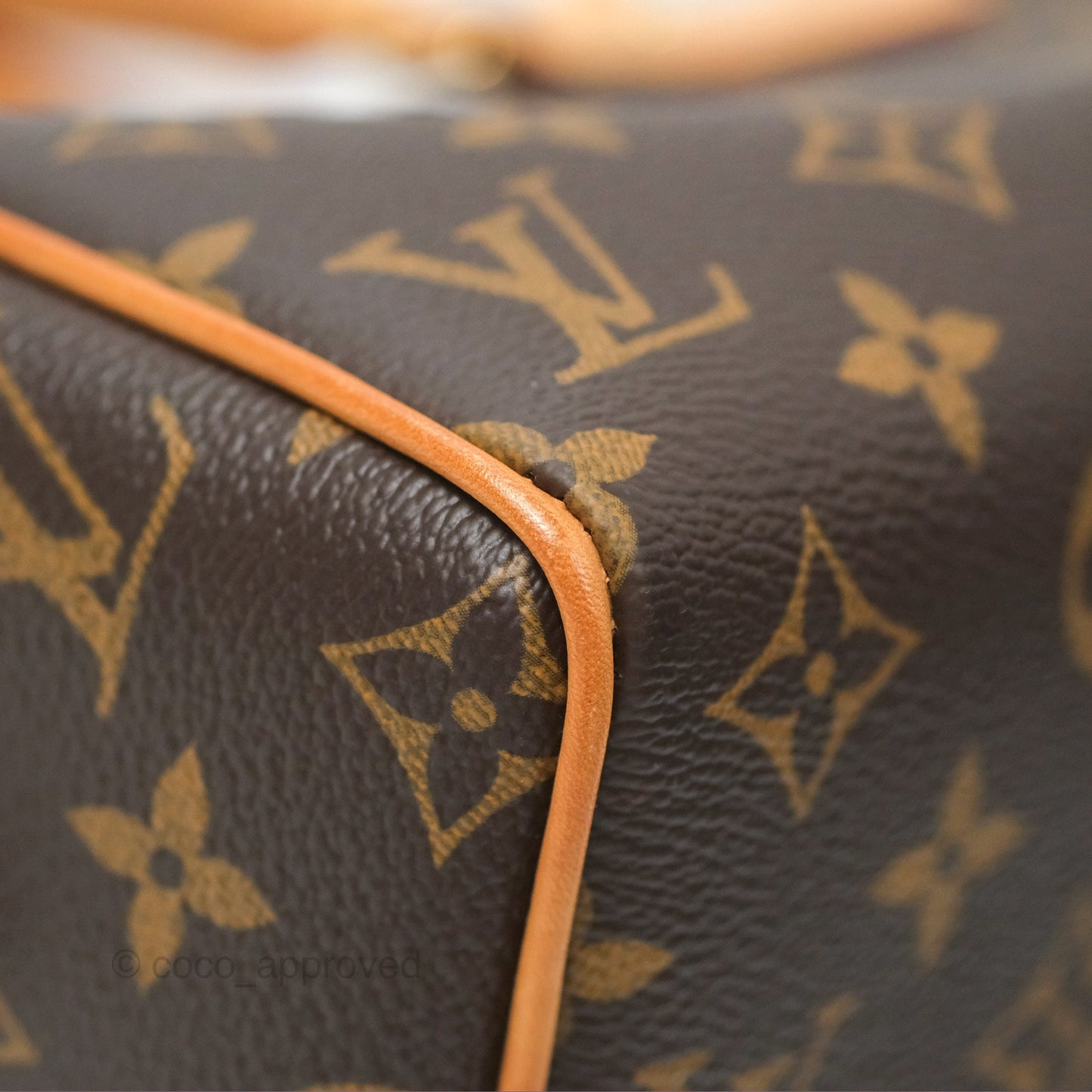 Louis Vuitton Speedy Bandoulière 20 Monogram