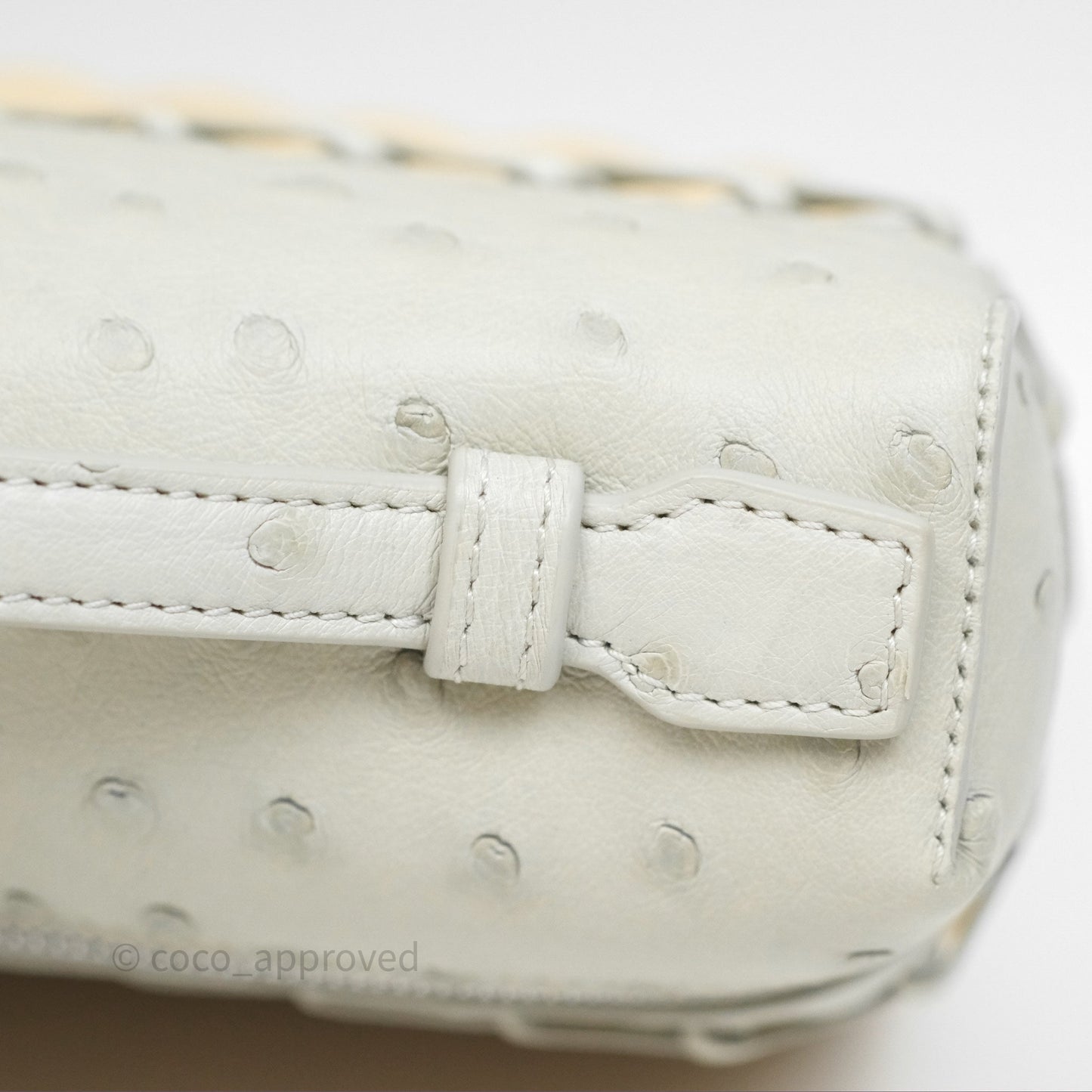 Loro Piana Extra Pocket L19 Light Blue Ostrich Silver Hardware