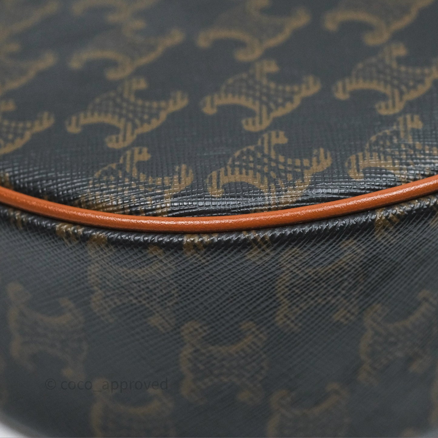 Celine Ava Bag In Triomphe Canvas Calfskin Tan