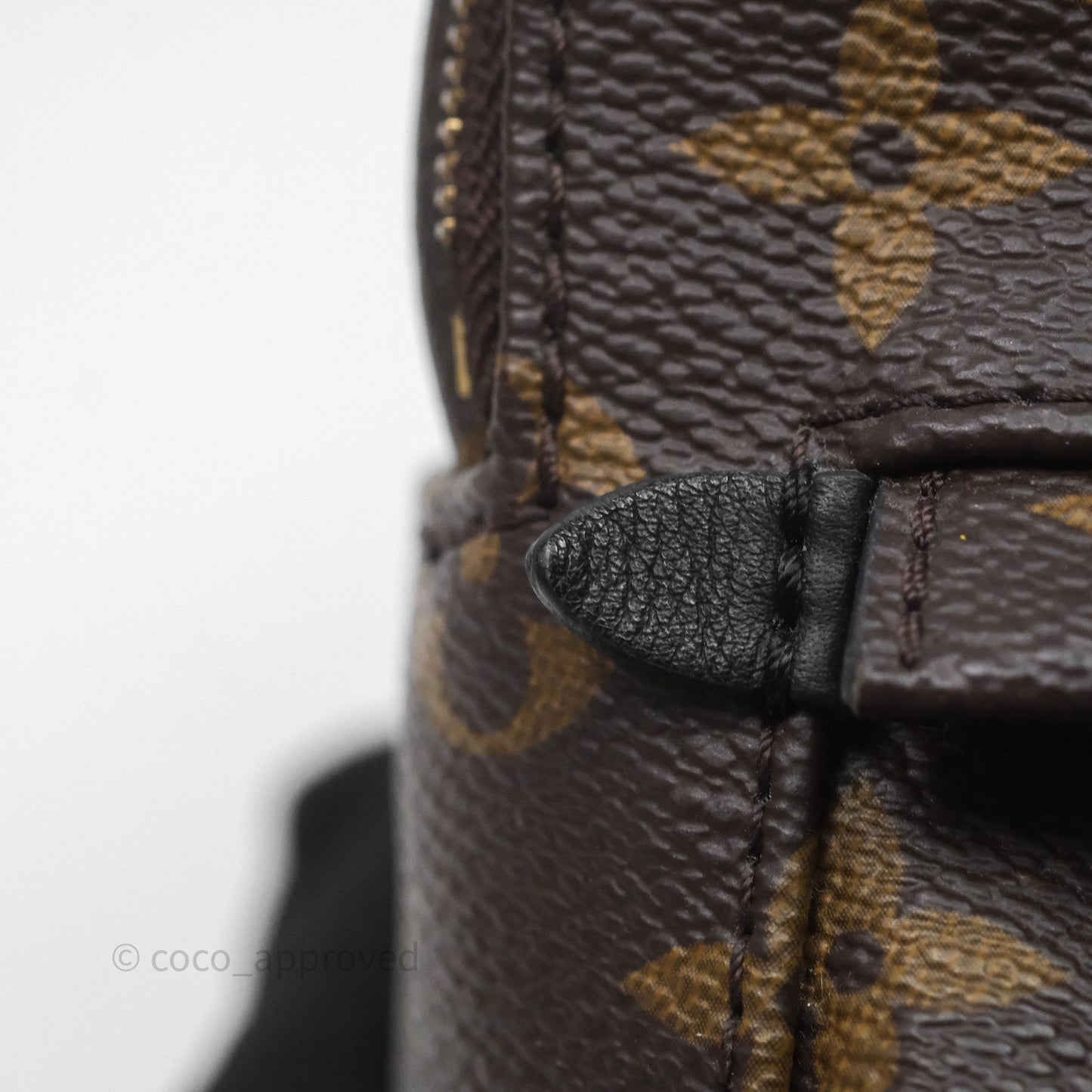Louis Vuitton Mini Palm Springs Backpack⁣ Monogram