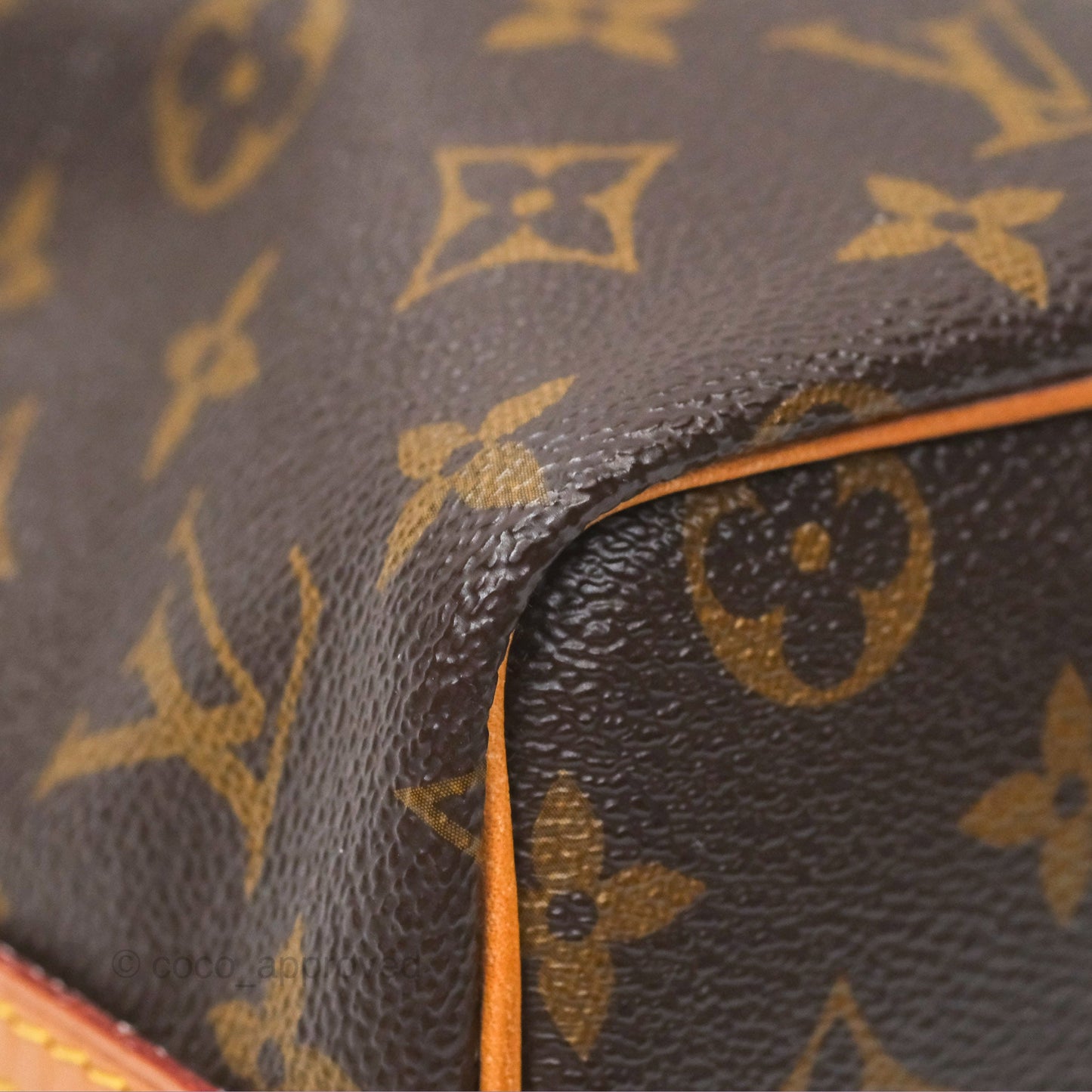 Louis Vuitton Nano Noe Monogram Canvas