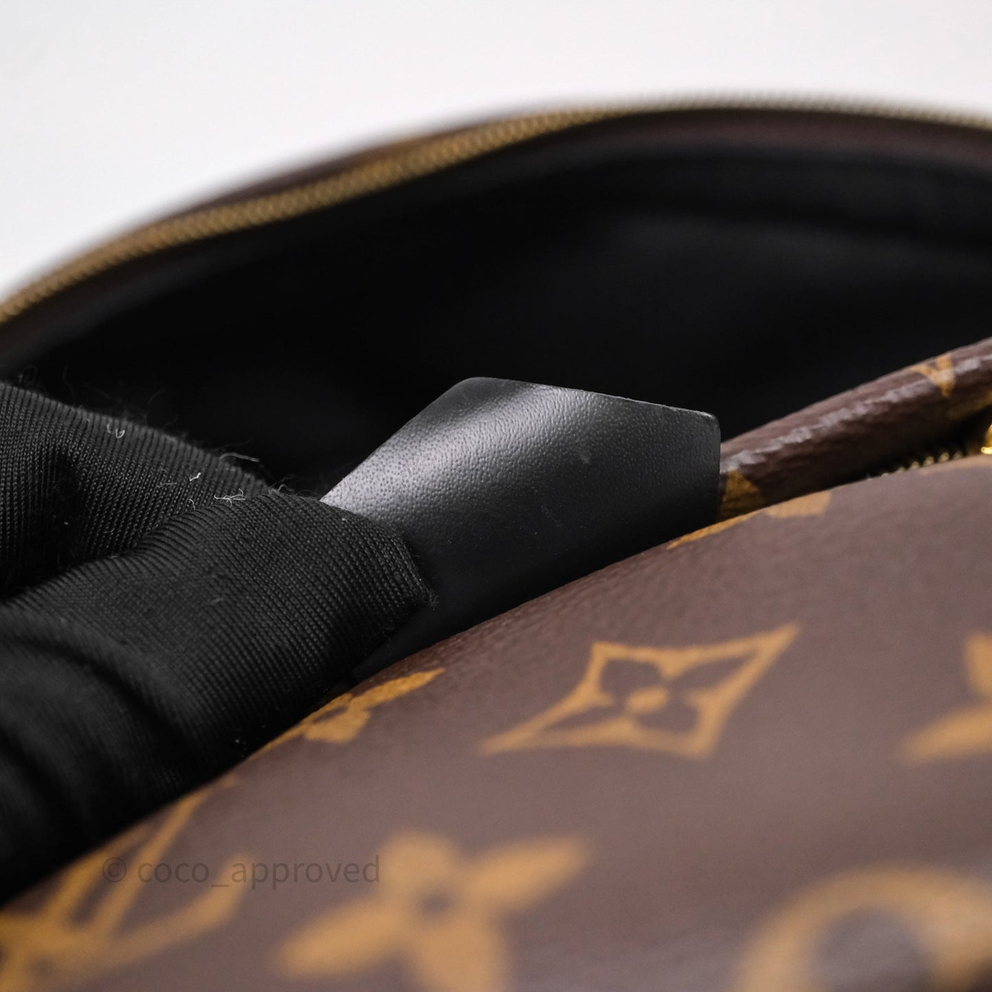 Louis Vuitton Mini Palm Springs Backpack⁣ Monogram
