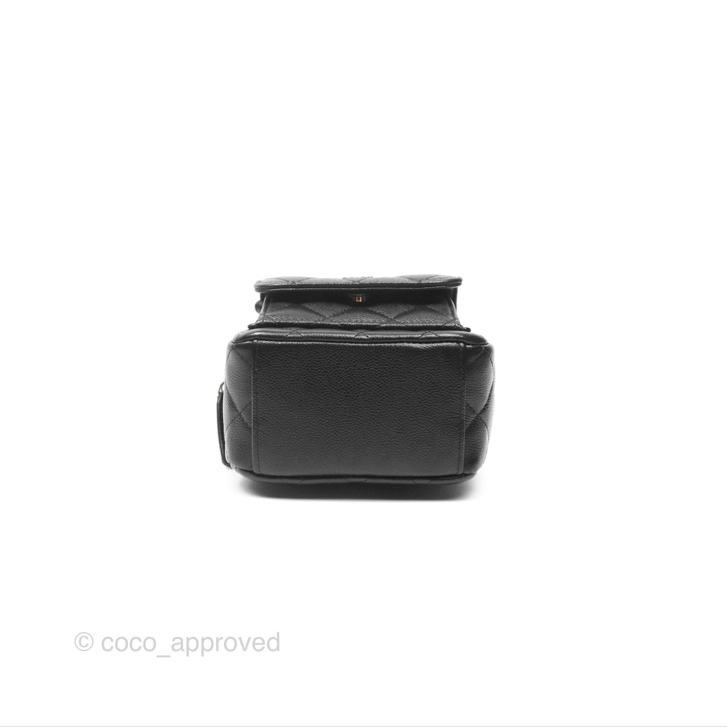 Chanel Classic Mini Backpack Black Caviar Gold Hardware