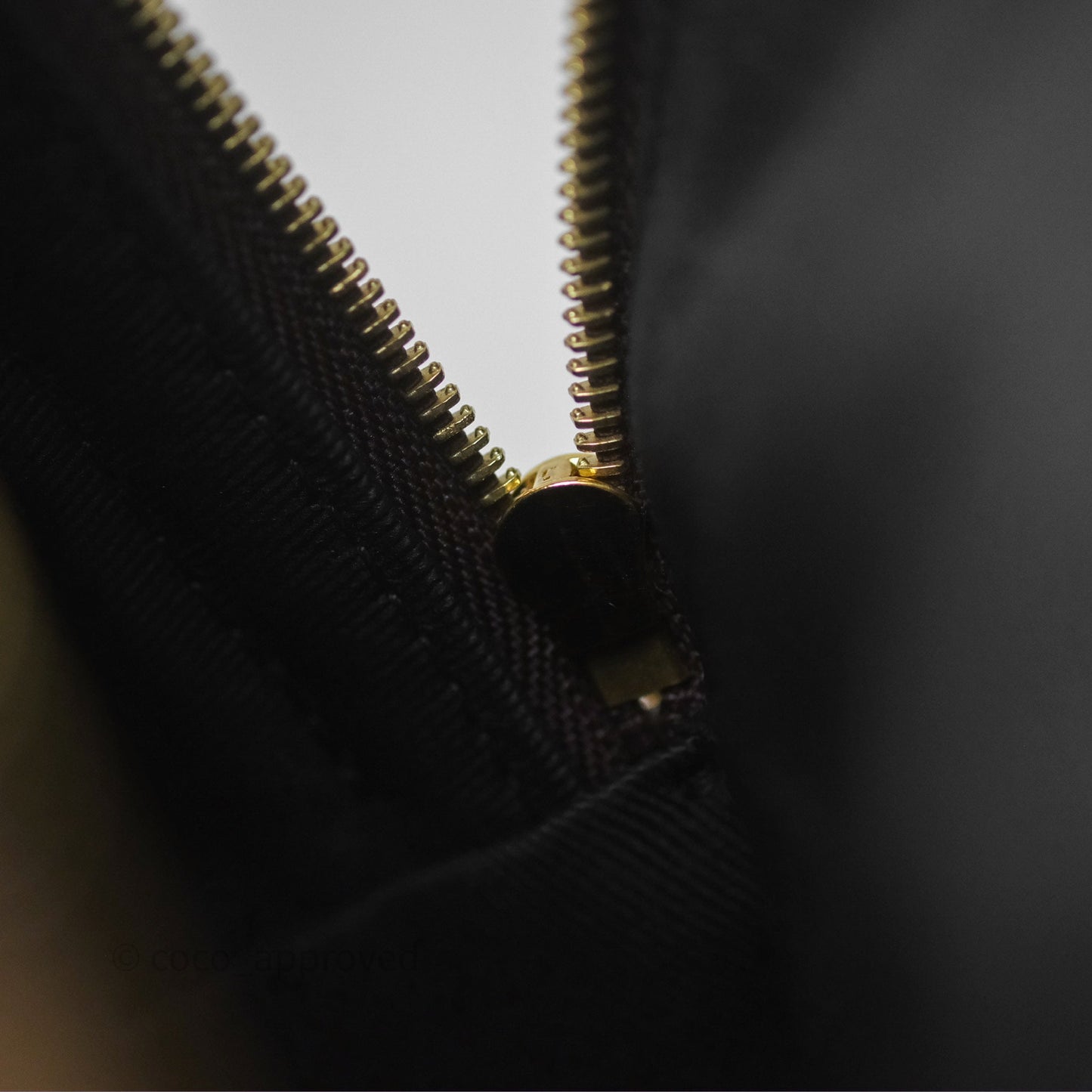 Louis Vuitton Monogram Mini Palm Springs Backpack⁣