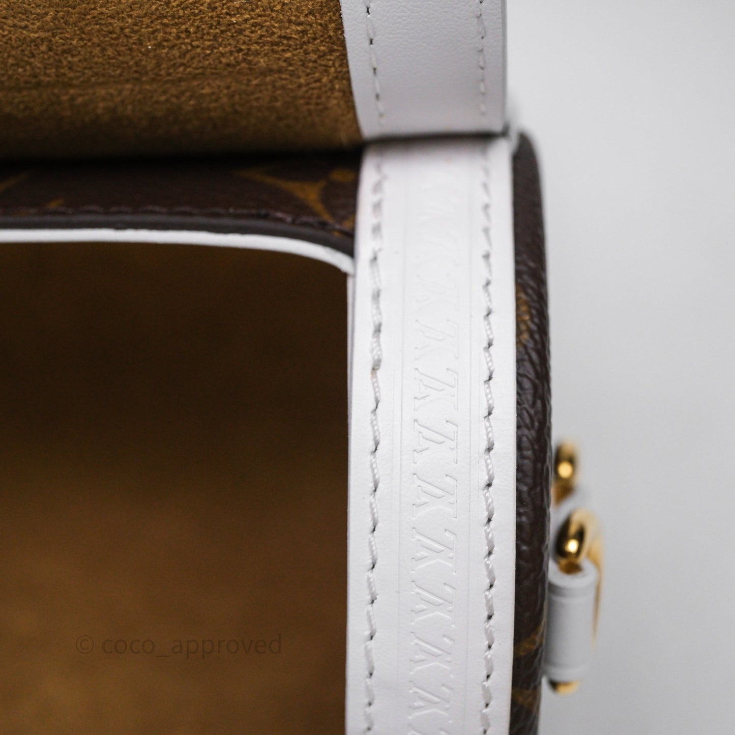 Louis Vuitton Monogram Papillon Trunk Bag