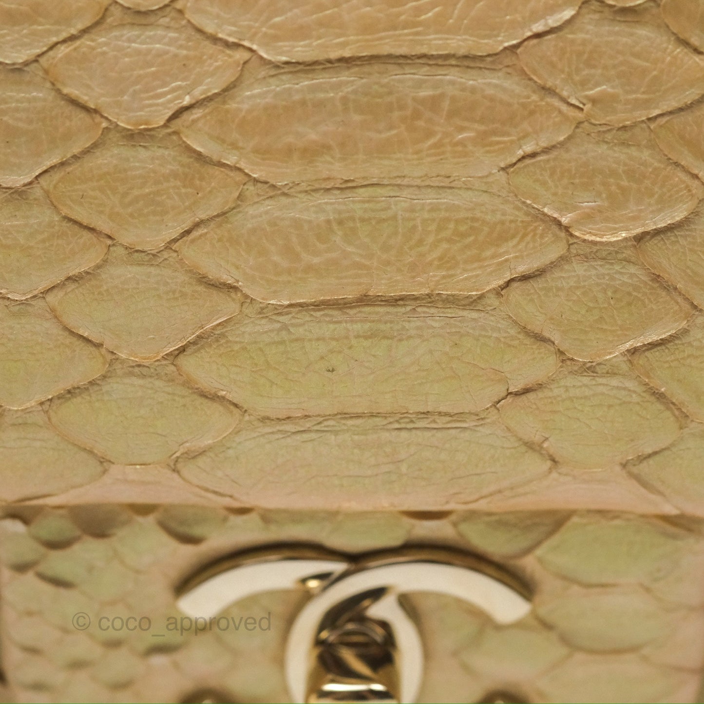 Chanel Jumbo Double Flap Iridescent Gold Python Gold Hardware⁣⁣