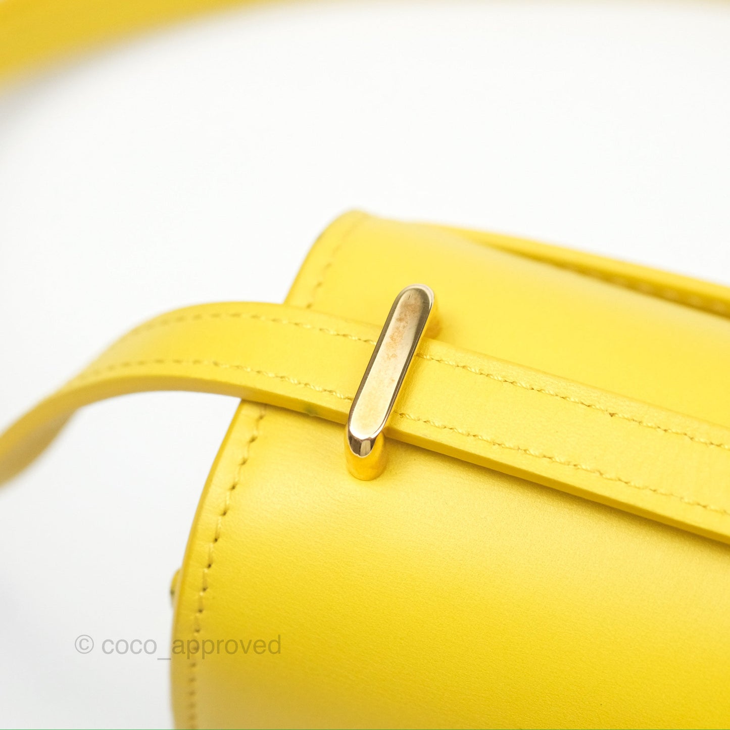 Loewe Small Goya Bag Yellow Silk Calfskin
