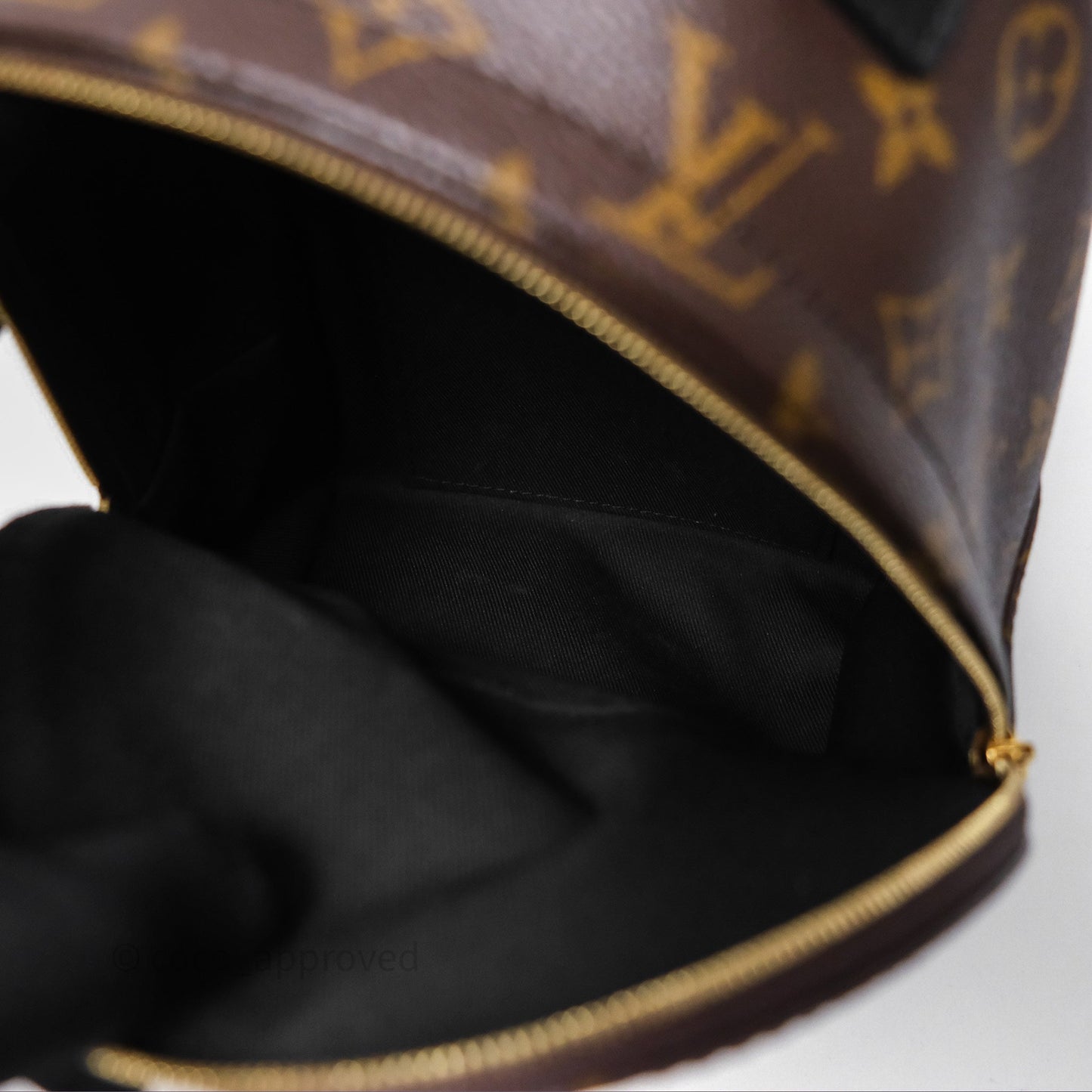 Louis Vuitton Mini Palm Springs Backpack⁣ Monogram