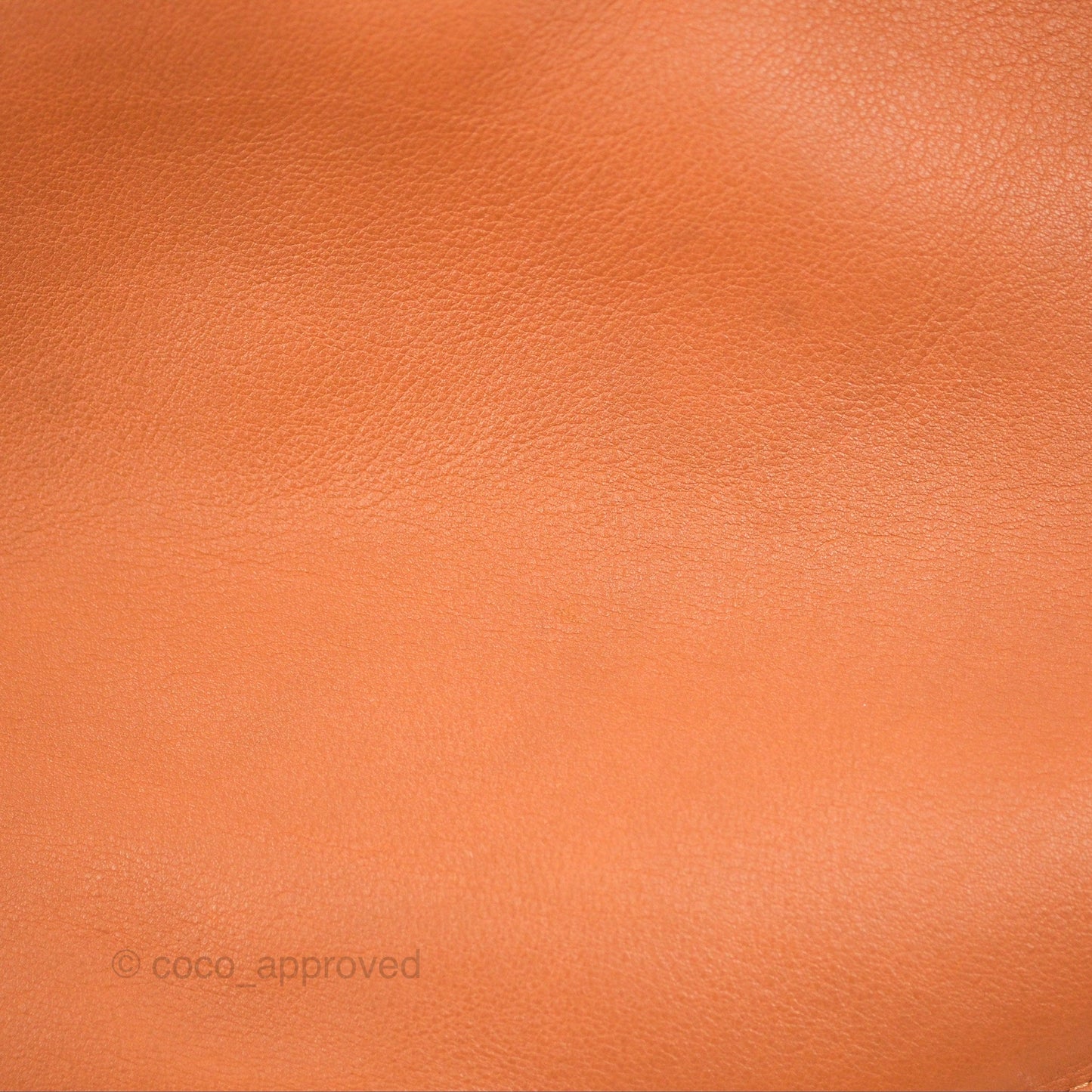 Loewe Large Fortune Hobo Tan Calfskin
