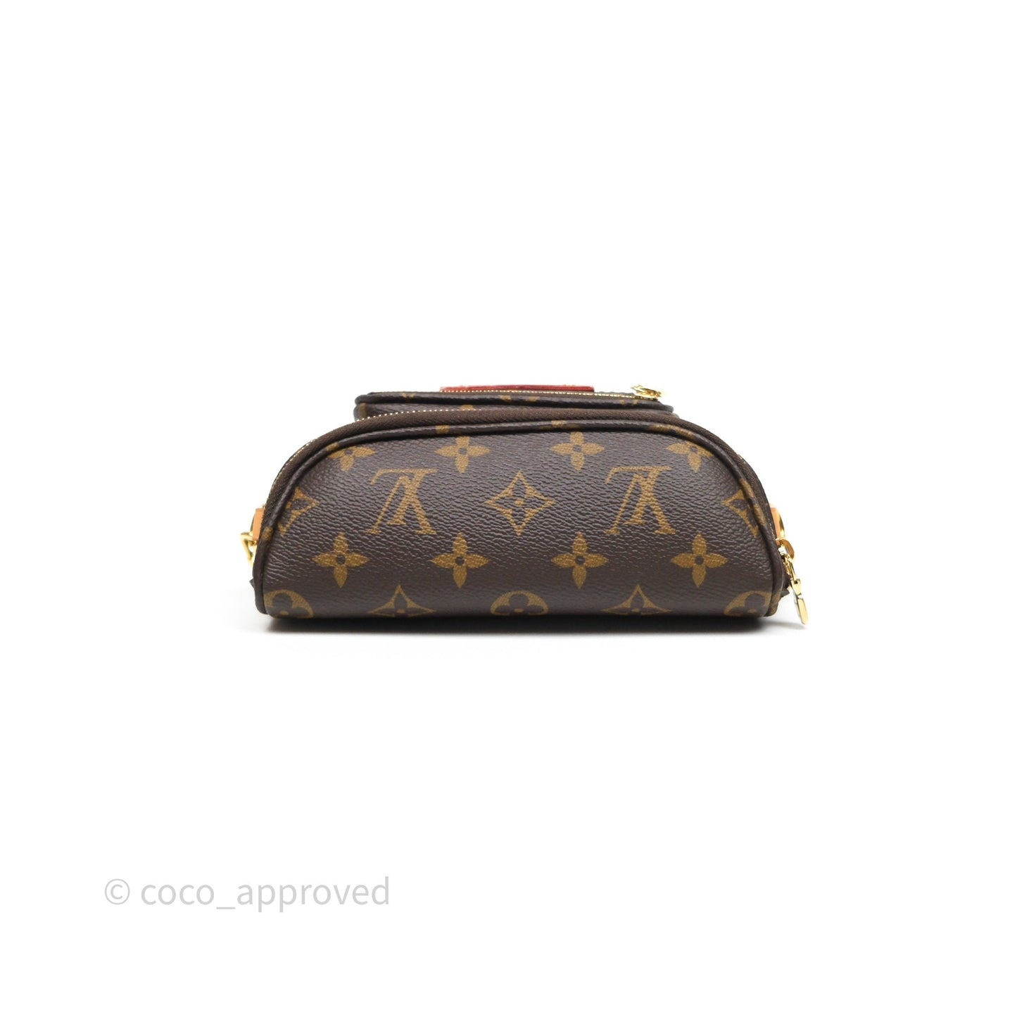 Louis Vitton Mini Bumbag in Monogram Canvas