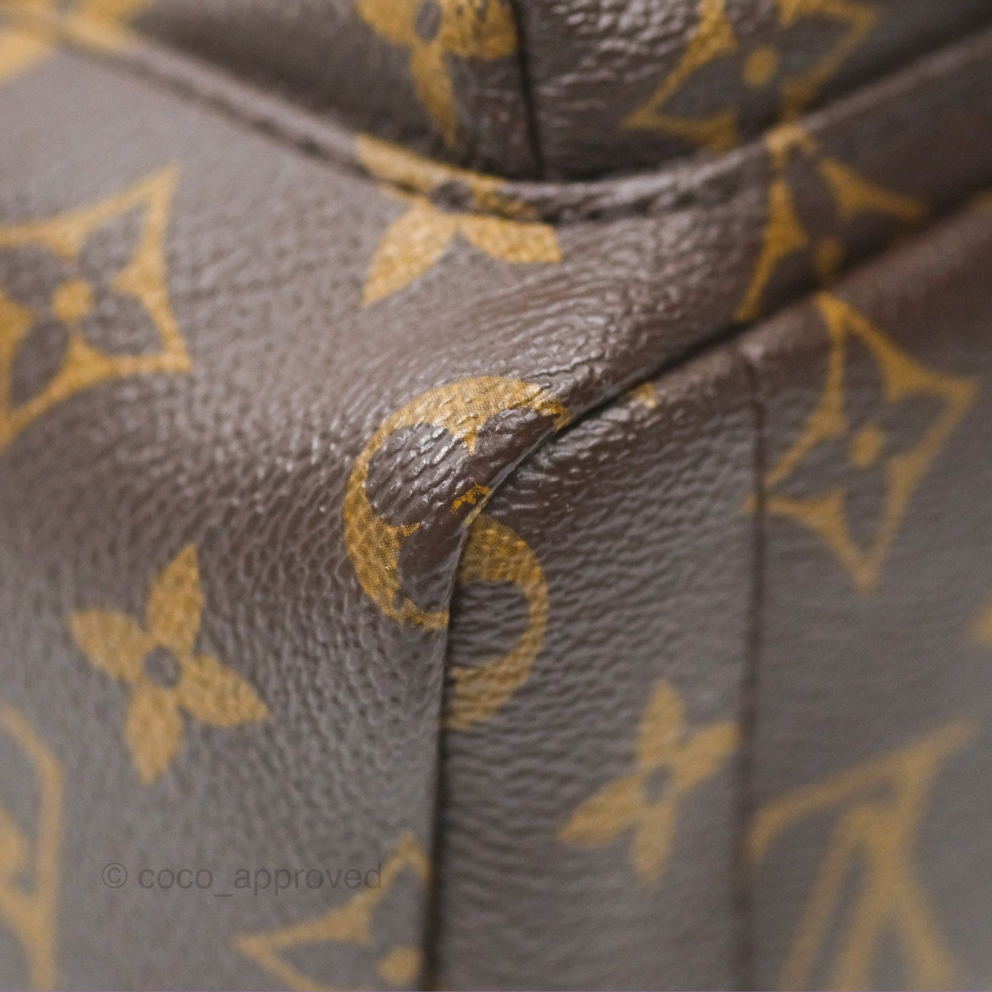 Louis Vuitton Mini Palm Springs Backpack⁣ Monogram