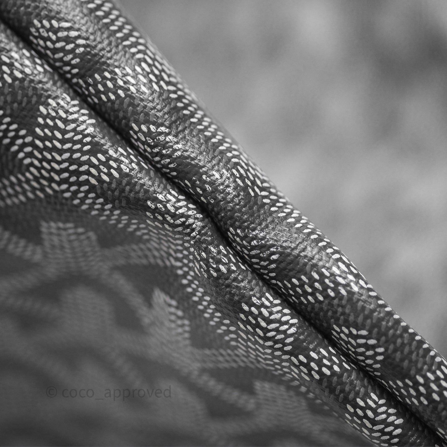 Goyard St Louis Tote PM ⁣⁣⁣⁣⁣⁣⁣⁣⁣⁣⁣⁣⁣⁣⁣⁣⁣⁣⁣⁣Grey