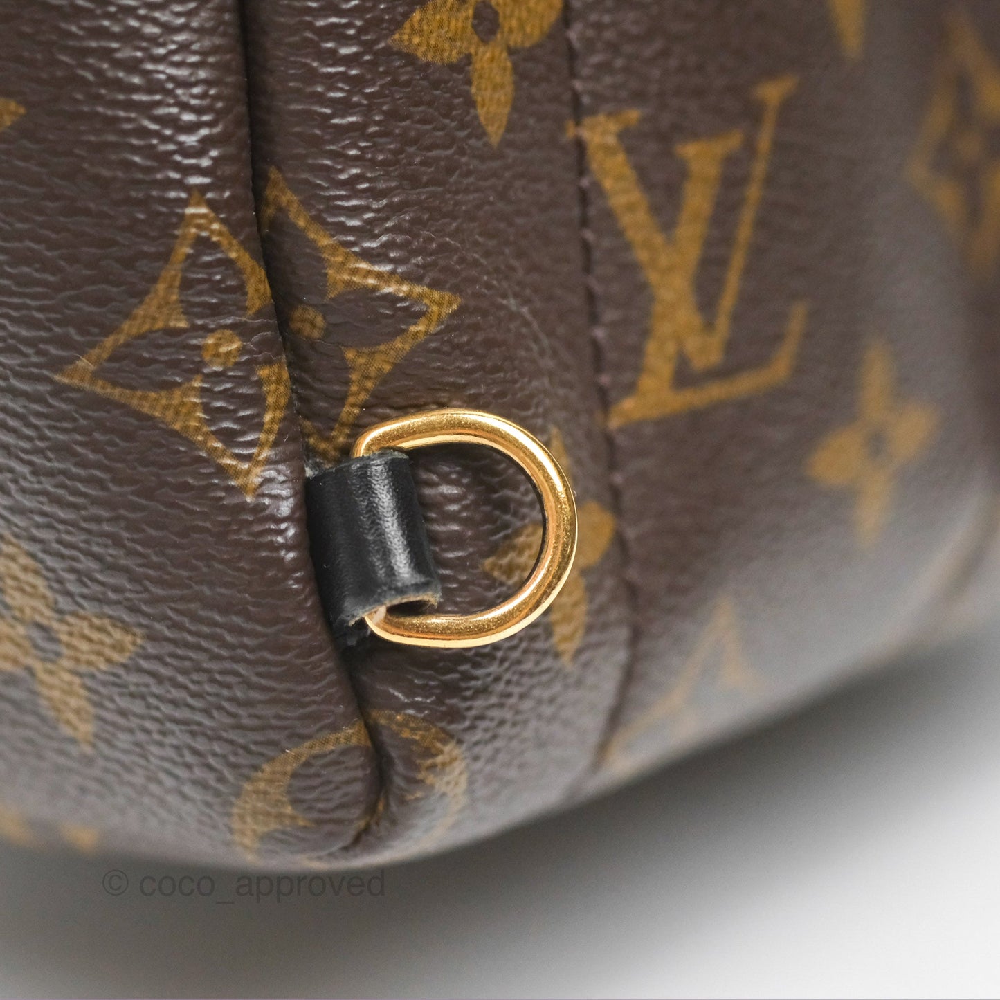 Louis Vuitton Mini Palm Springs Backpack⁣ Monogram