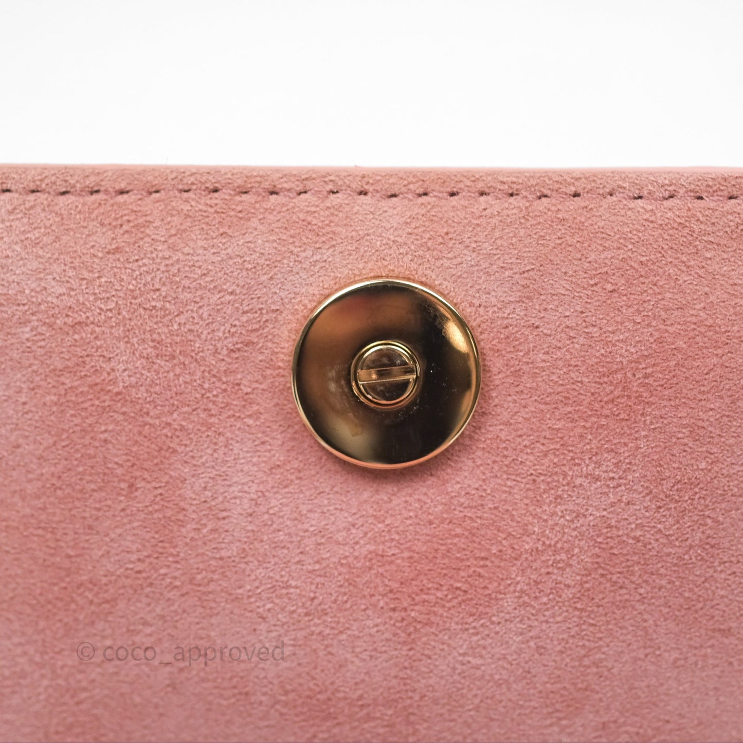 Christian Dior Lambskin Studded Vertical Diorama Dust Candy