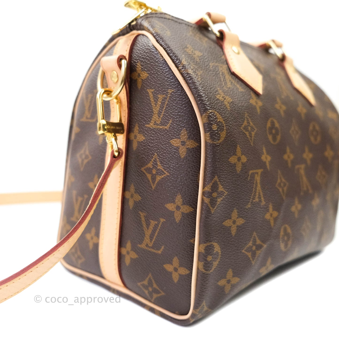 Louis Vuitton Monogram Canvas Speedy 25