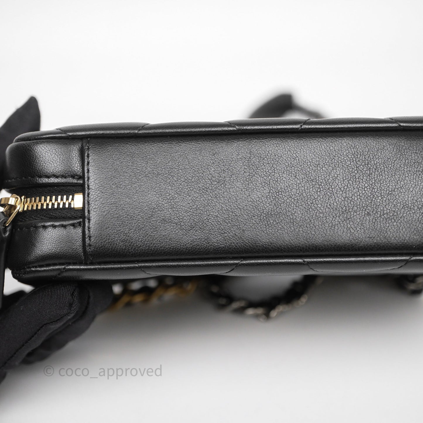 Chanel 19 Camera Bag Black Lambskin Mixed Hardware
