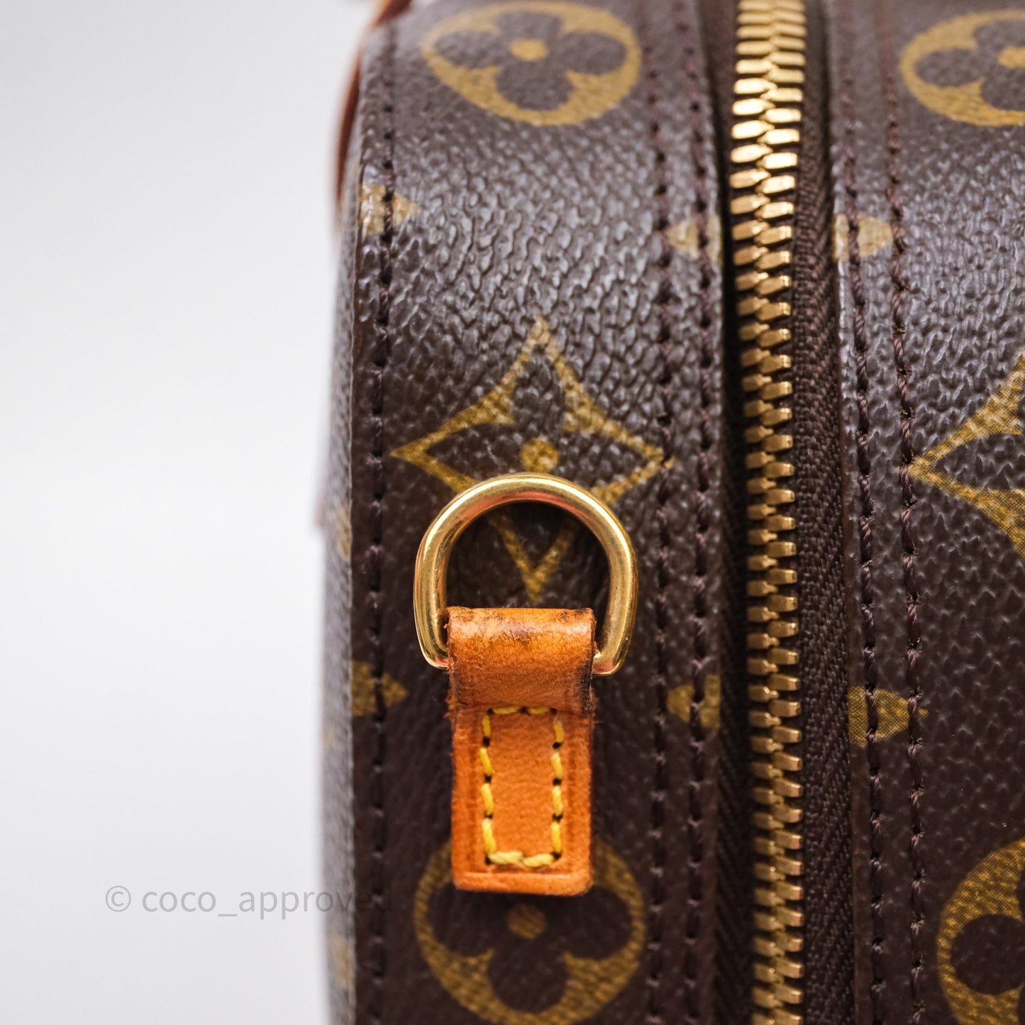 Louis Vuitton Monogram Spontini 2way Bag