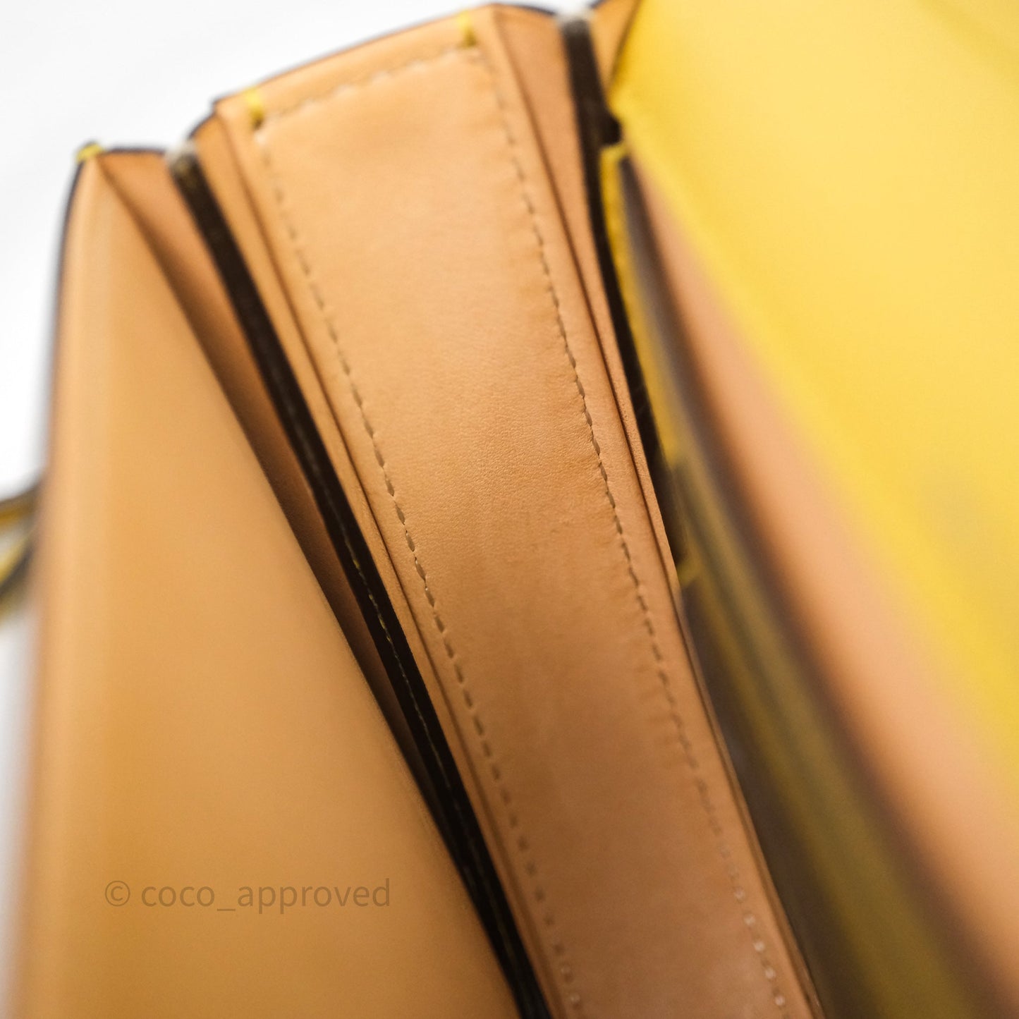 Delvaux Small Lingot Bag Pollen Alpina Calfskin Gold Hardware