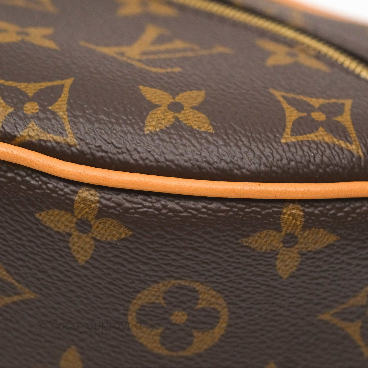 Louis Vuitton Loop Monogram Canvas