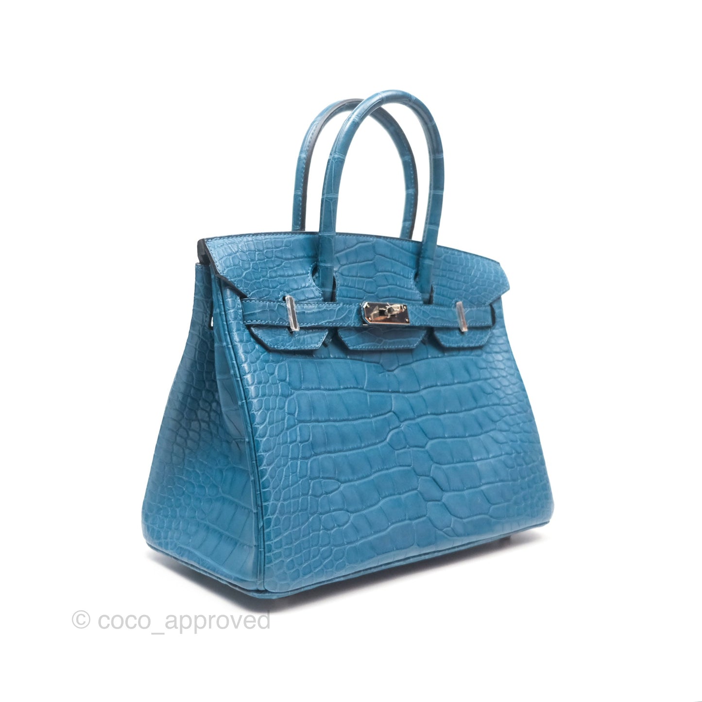 Hermès Birkin 30 Retourne Colvert Matte Niloticus Crocodile Palladium Hardware