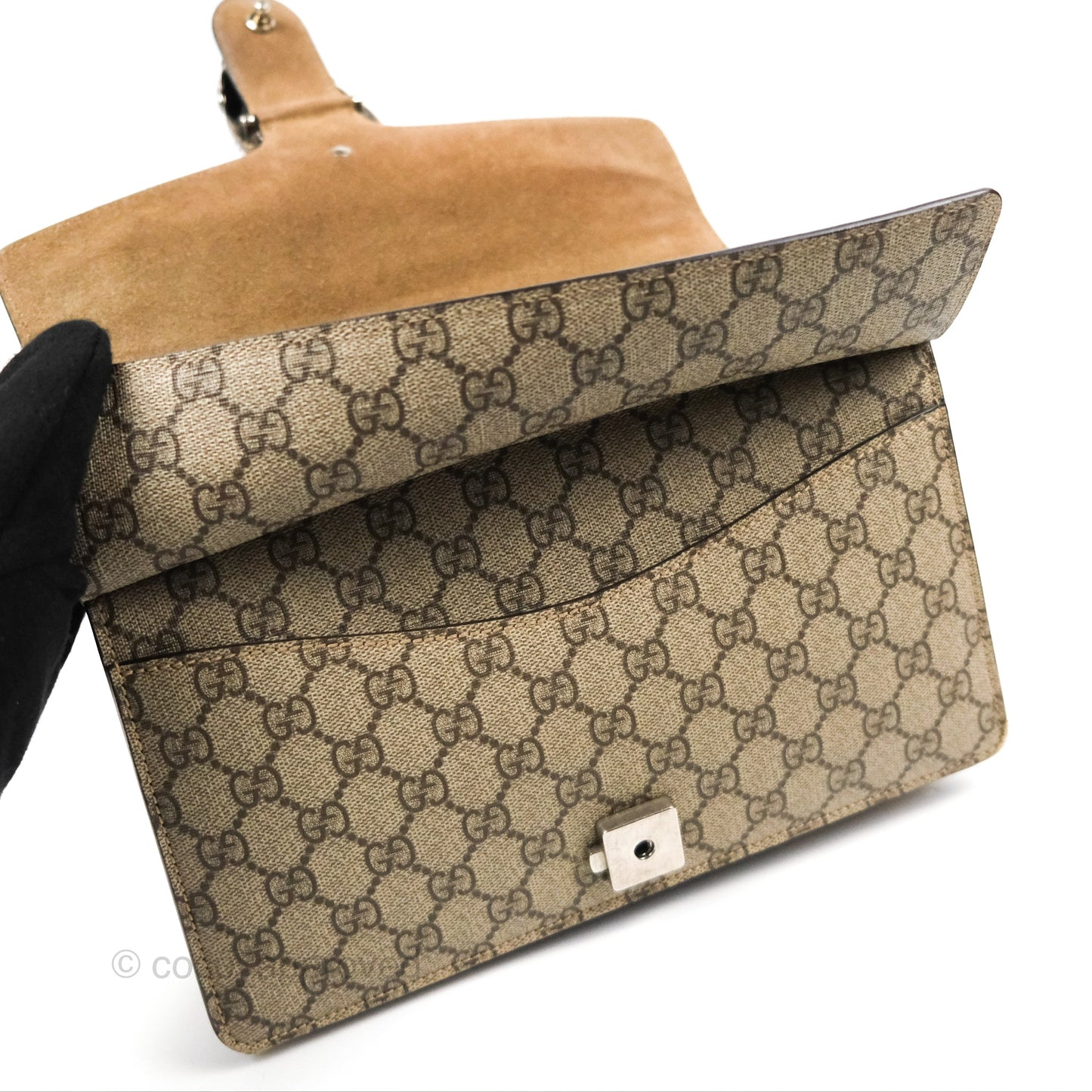 Gucci Dionysus GG Supreme Small Bag Ruthenium Hardware