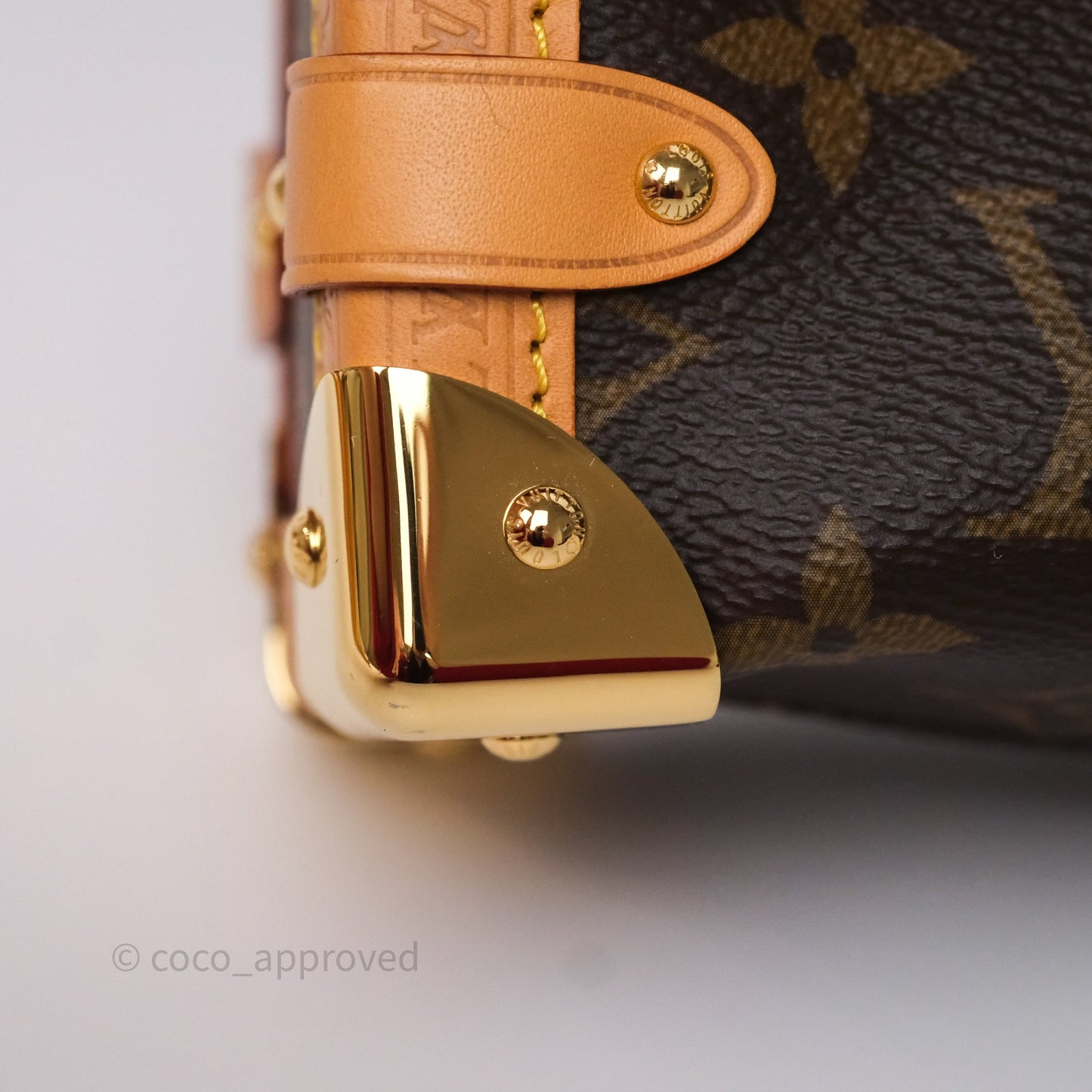 Louis Vuitton Side Trunk PM Monogram Canvas