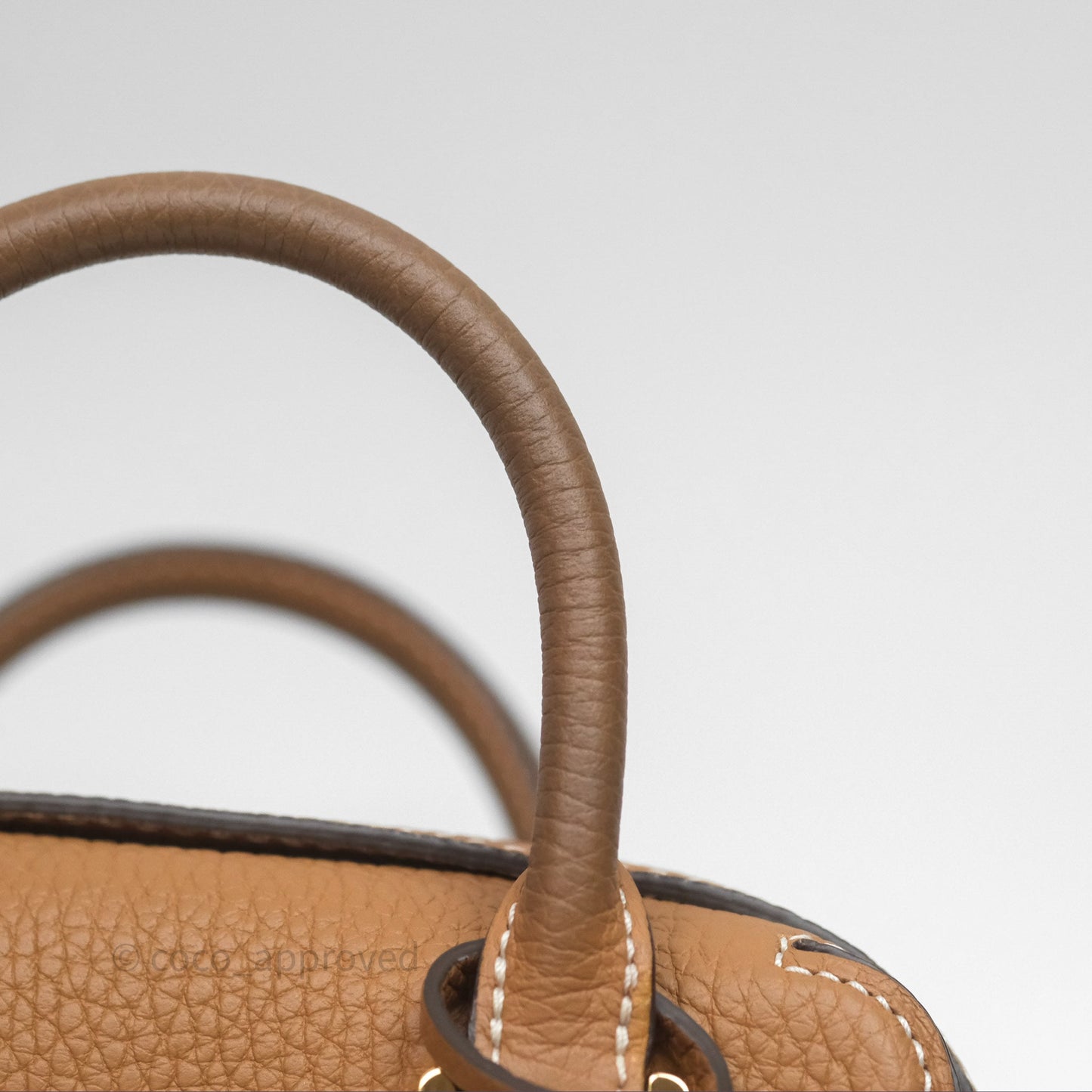 Delvaux Cool Box Nano Taurillon Soft Grained Calfskin Vegetal Ivory Gold Hardware