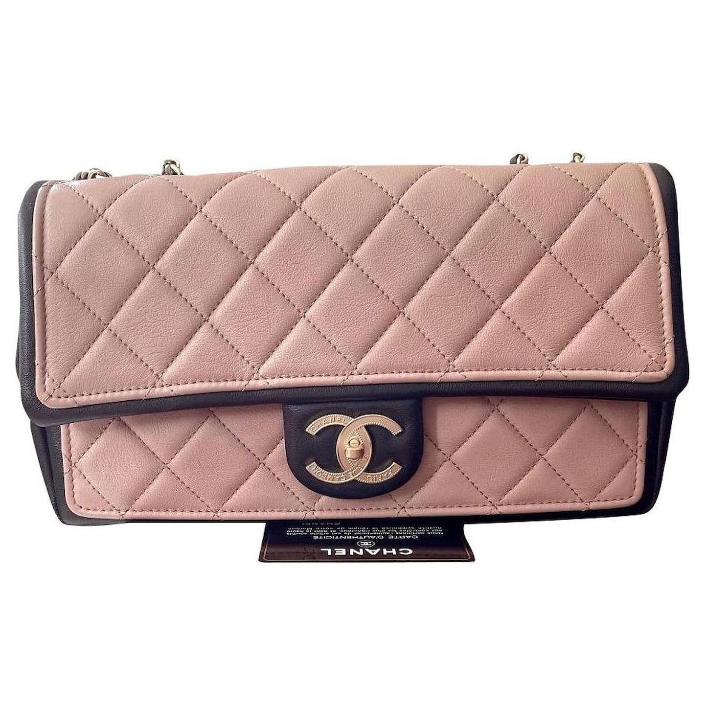 Luxury Chanel Duo Tone Flap Bag