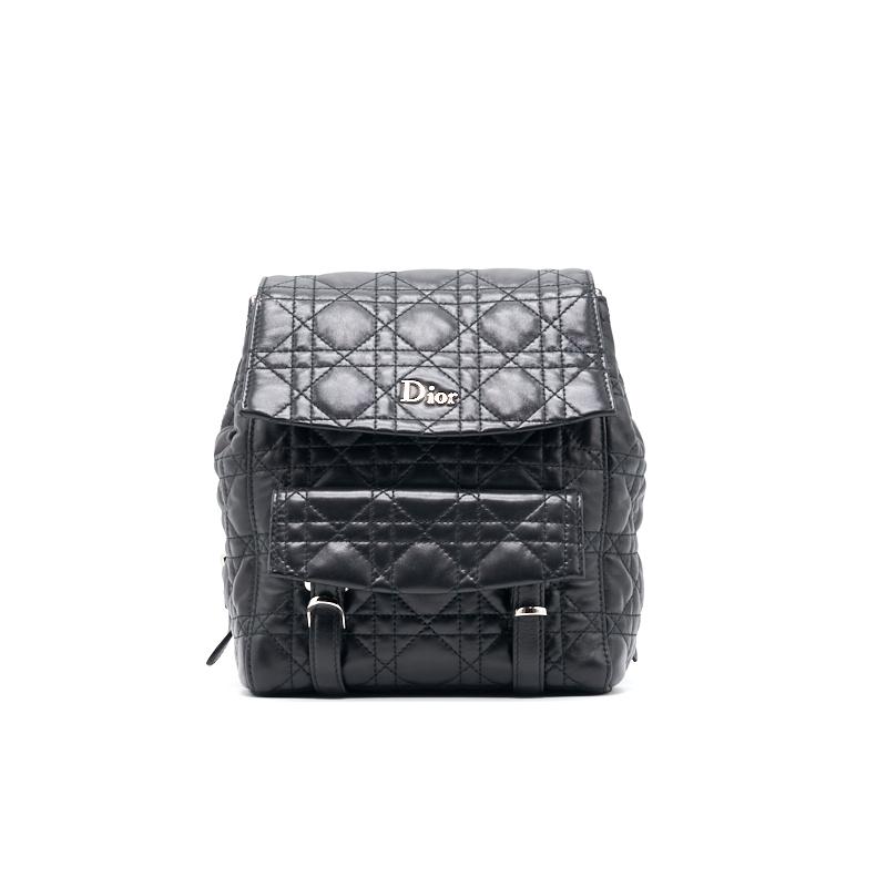 Luxury Dior Mini Backpack