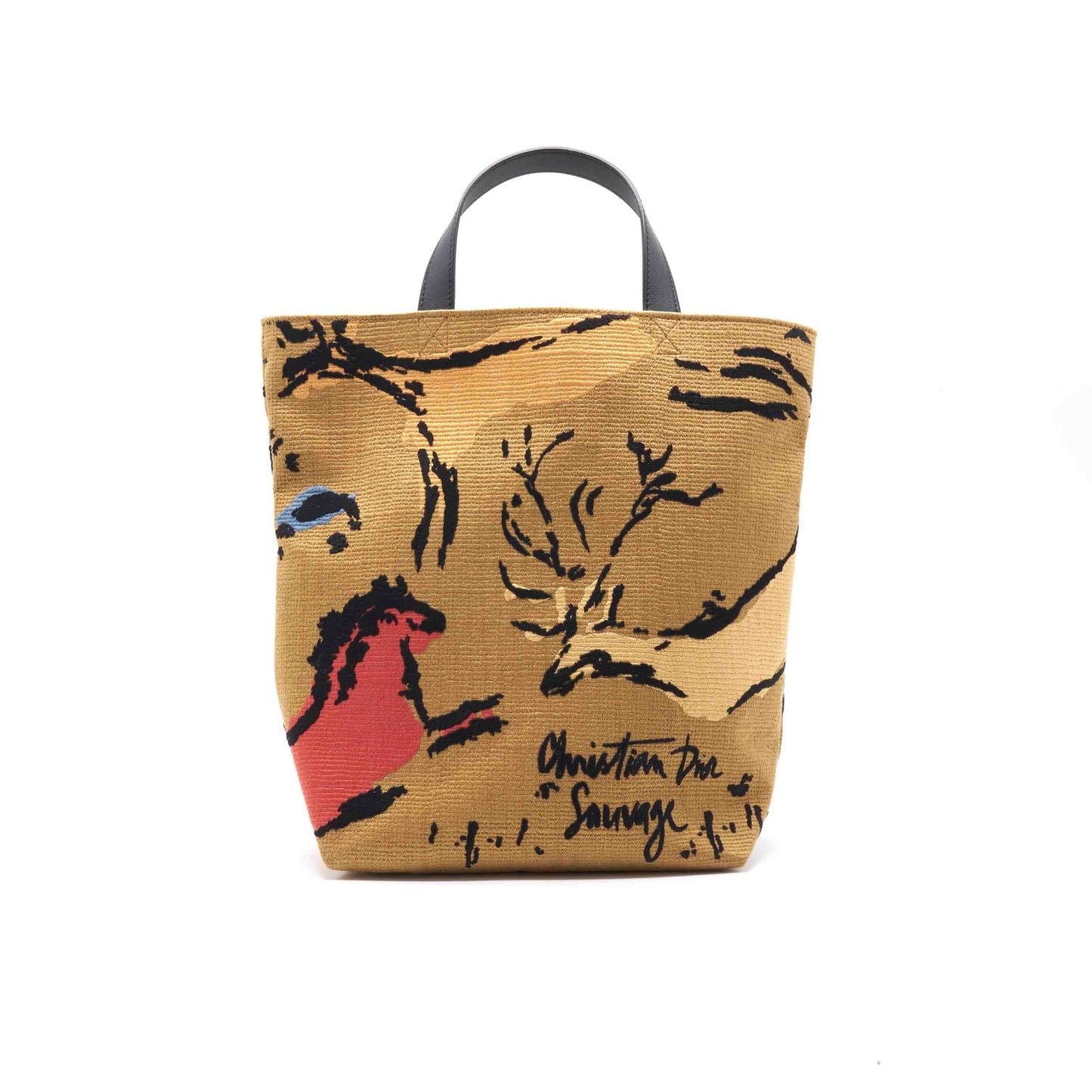 Luxury Dior Canvas Avenue Tote