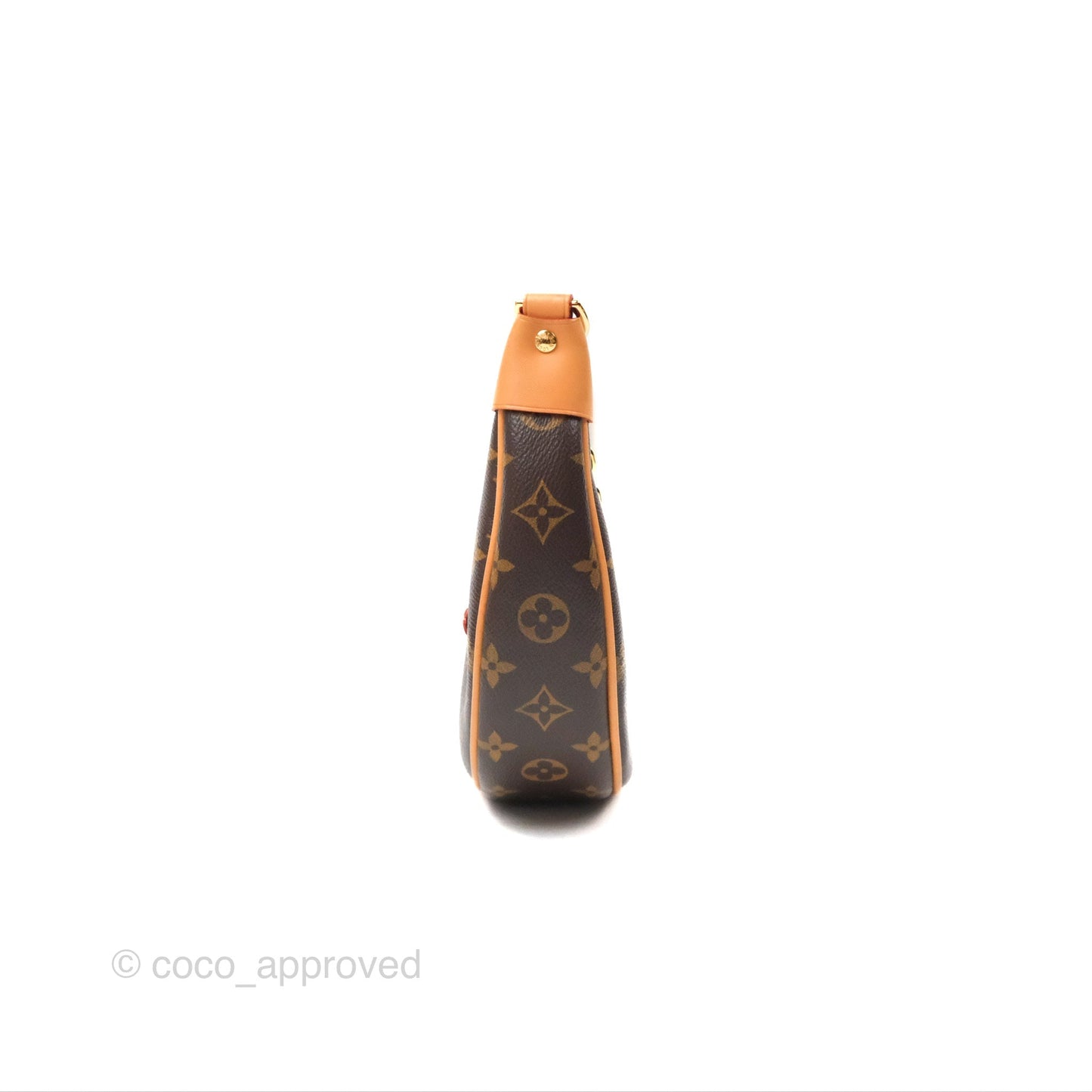 Louis Vuitton Loop Monogram Canvas