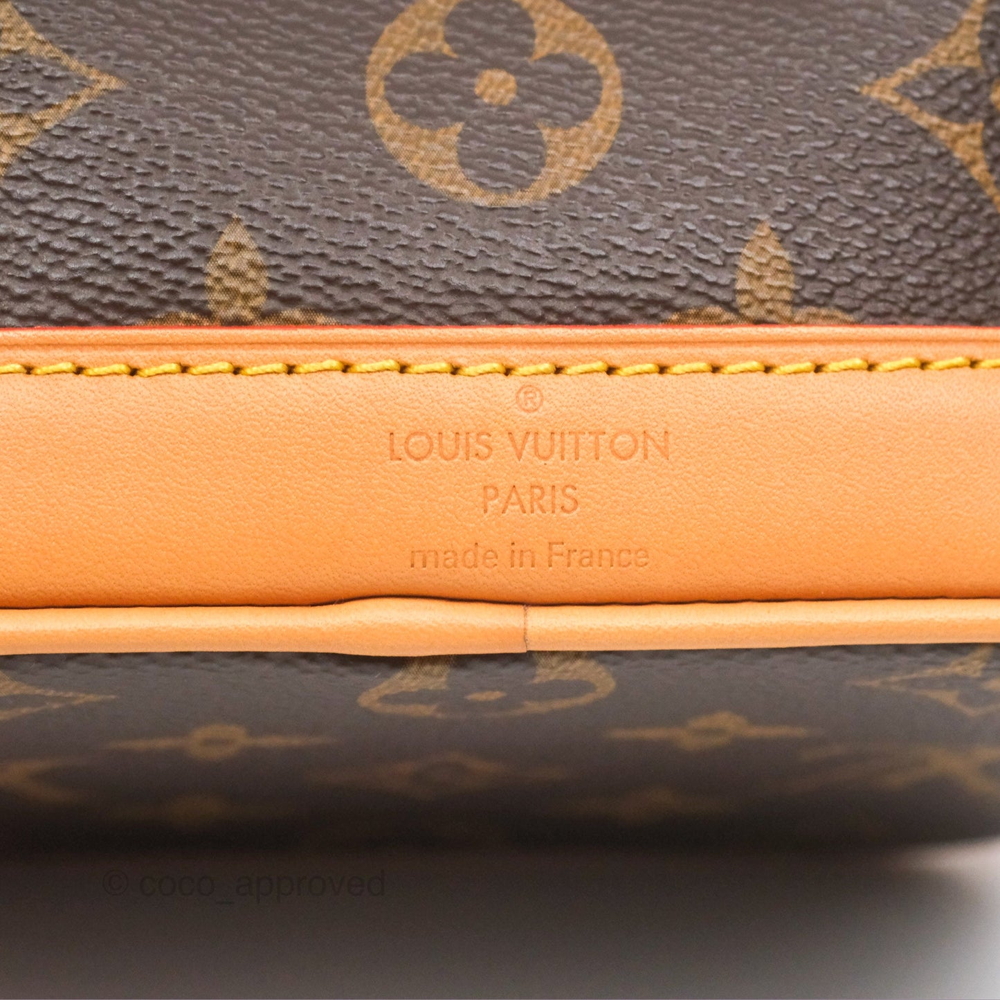 Louis Vuitton Nano Noe Monogram Canvas