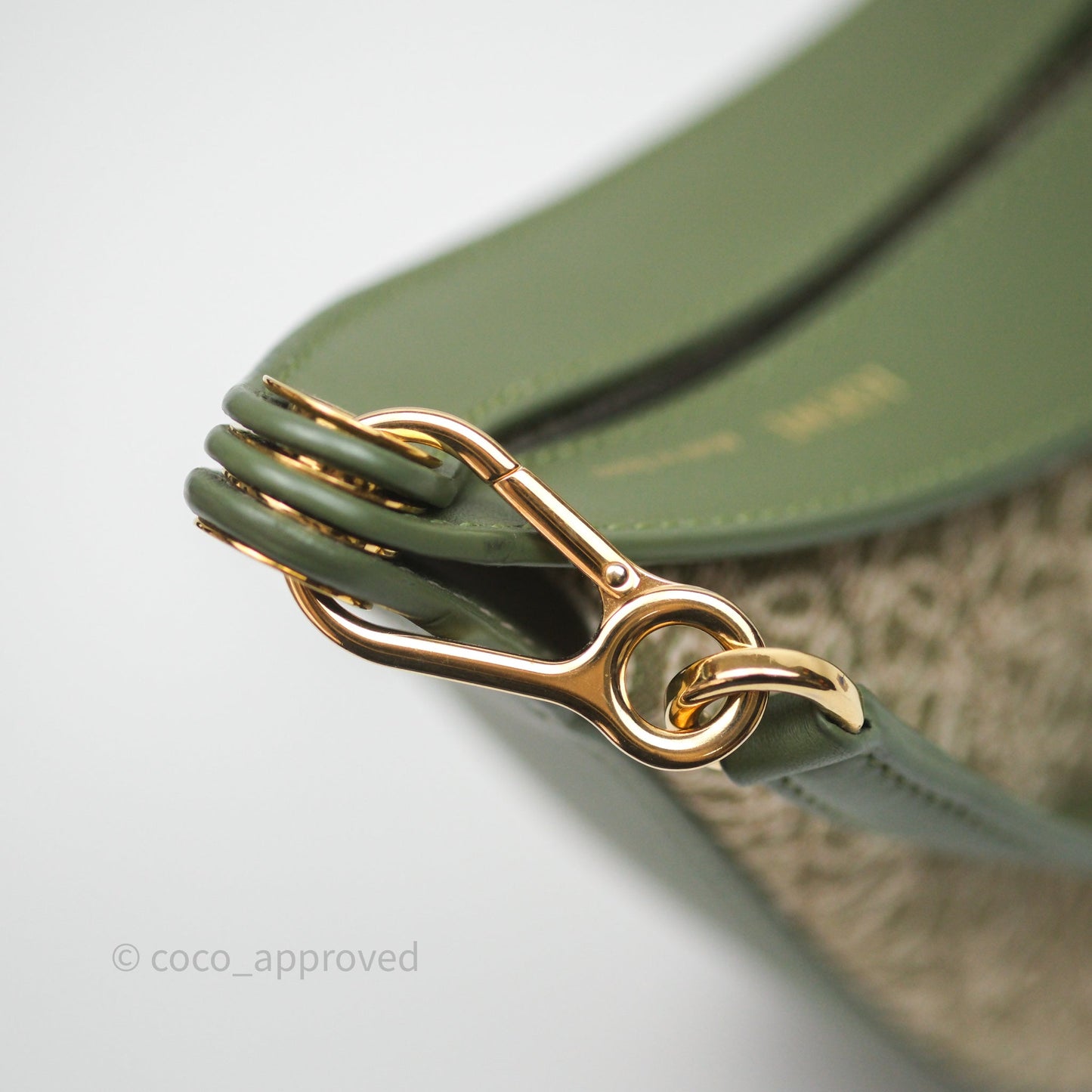 Loewe Small Luna Anagram Shoulder Bag Green Calfskin Jacquard